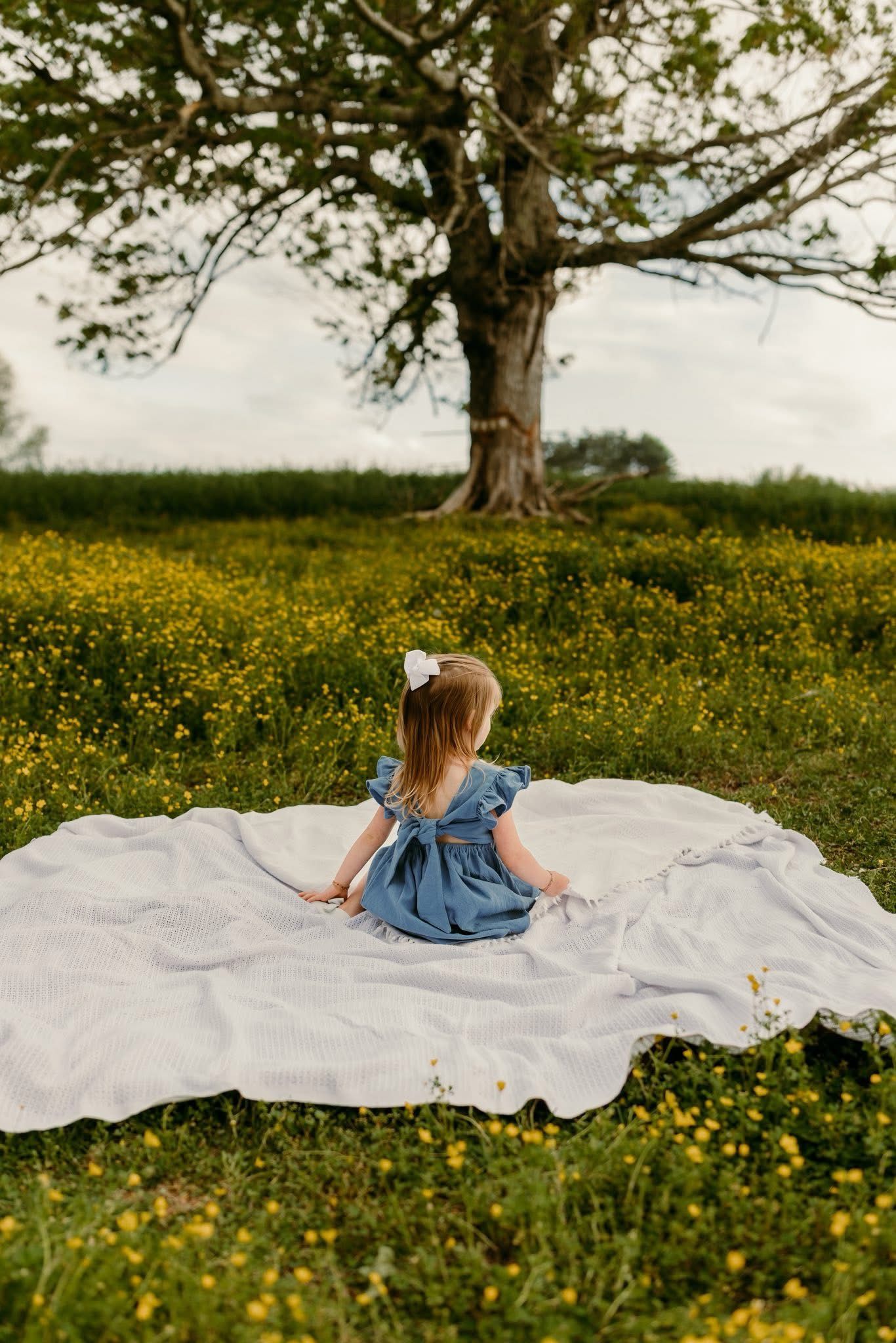 Birthday pictures of girl sitting in a field in front of a tree