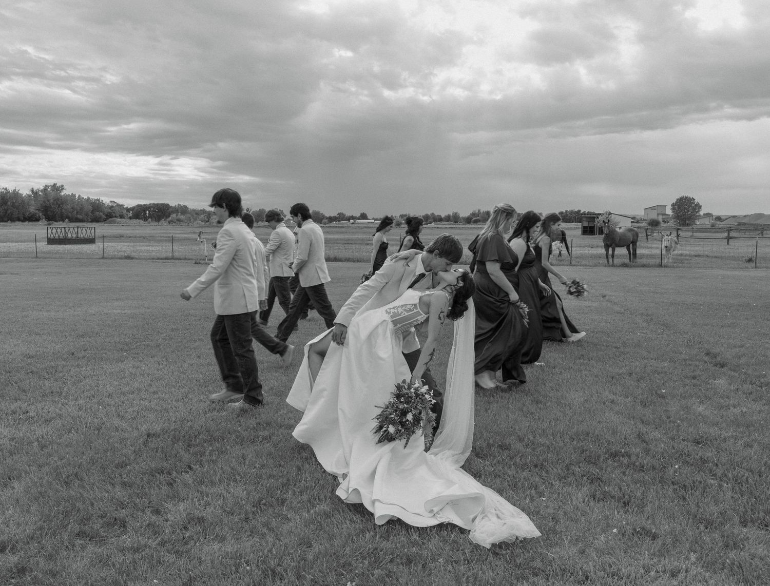 Black and white wedding photo of bride and groom with wedding party walking across a grassy field with horses in background.