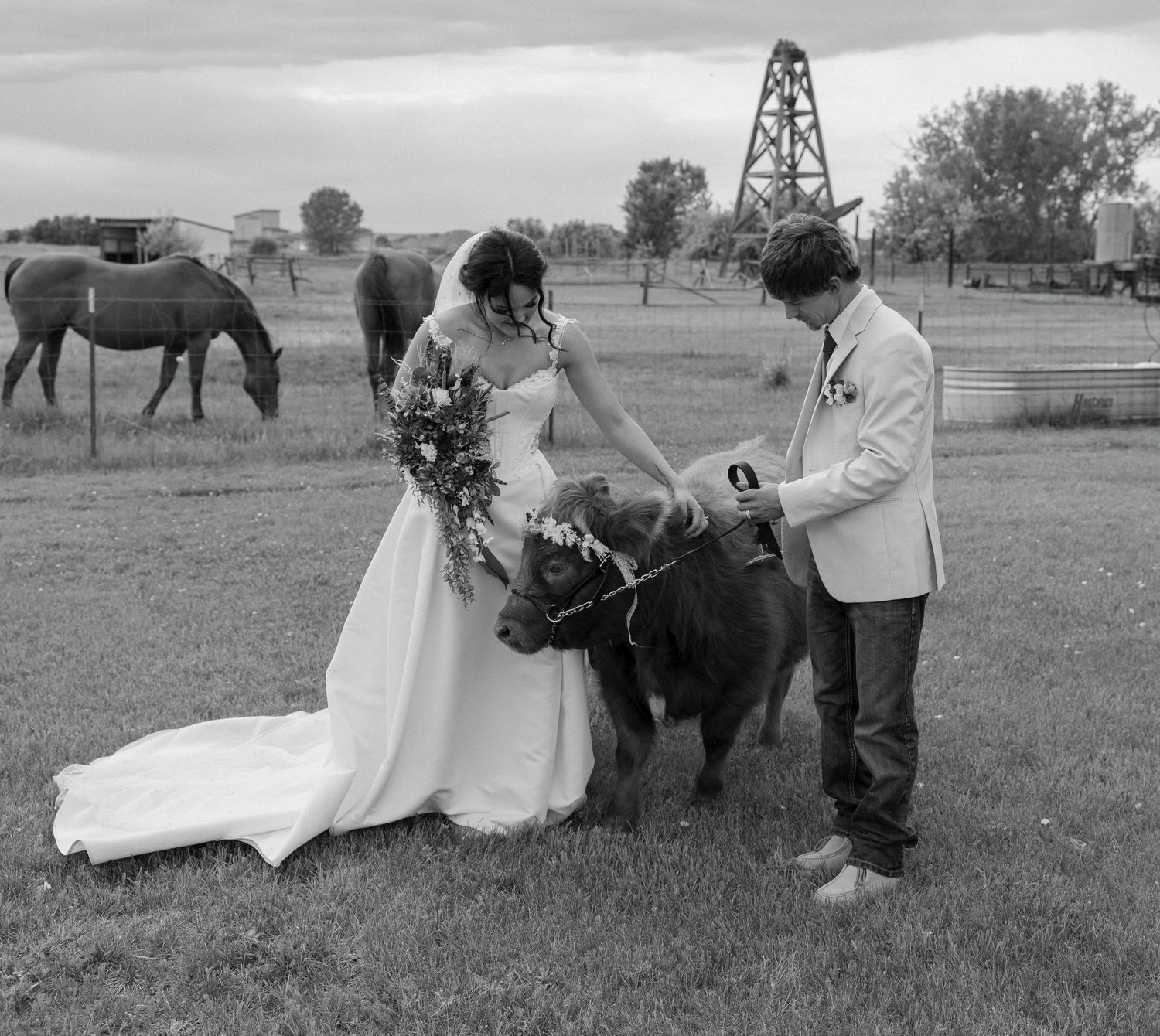 Black and white wedding photo of bride and groom with a small cow on a farm, horses grazing in the background.