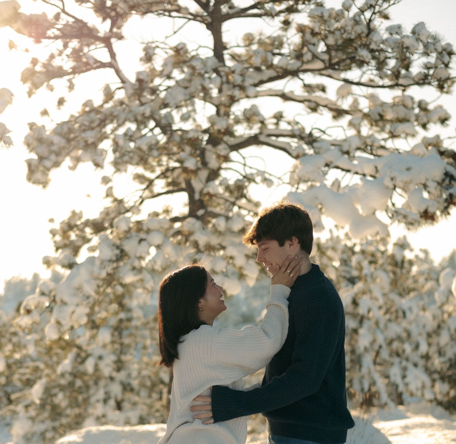 A couple holds each other's faces and smiles beneath a snow-laden tree in golden winter light.
