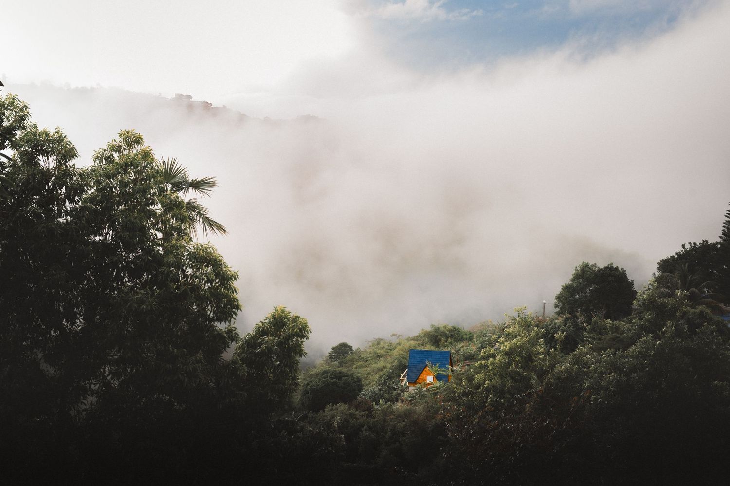 Misty mountain forest landscape with blue rooftop visible through dense fog and trees.