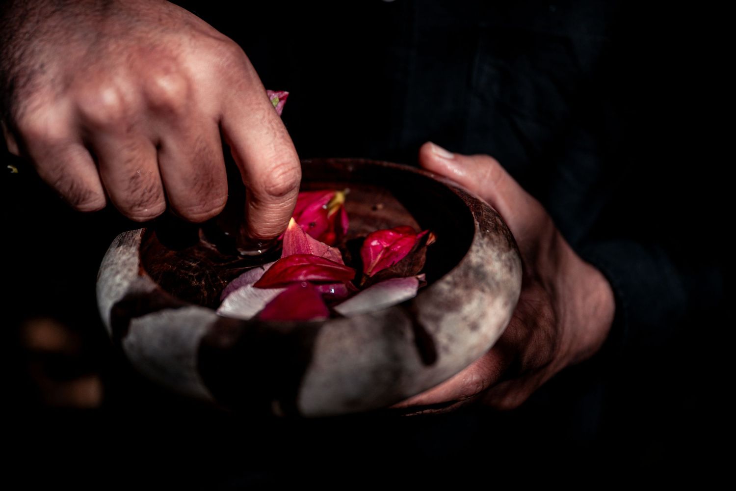 Hands holding rustic bowl filled with red rose petals in dramatic dark lighting.
