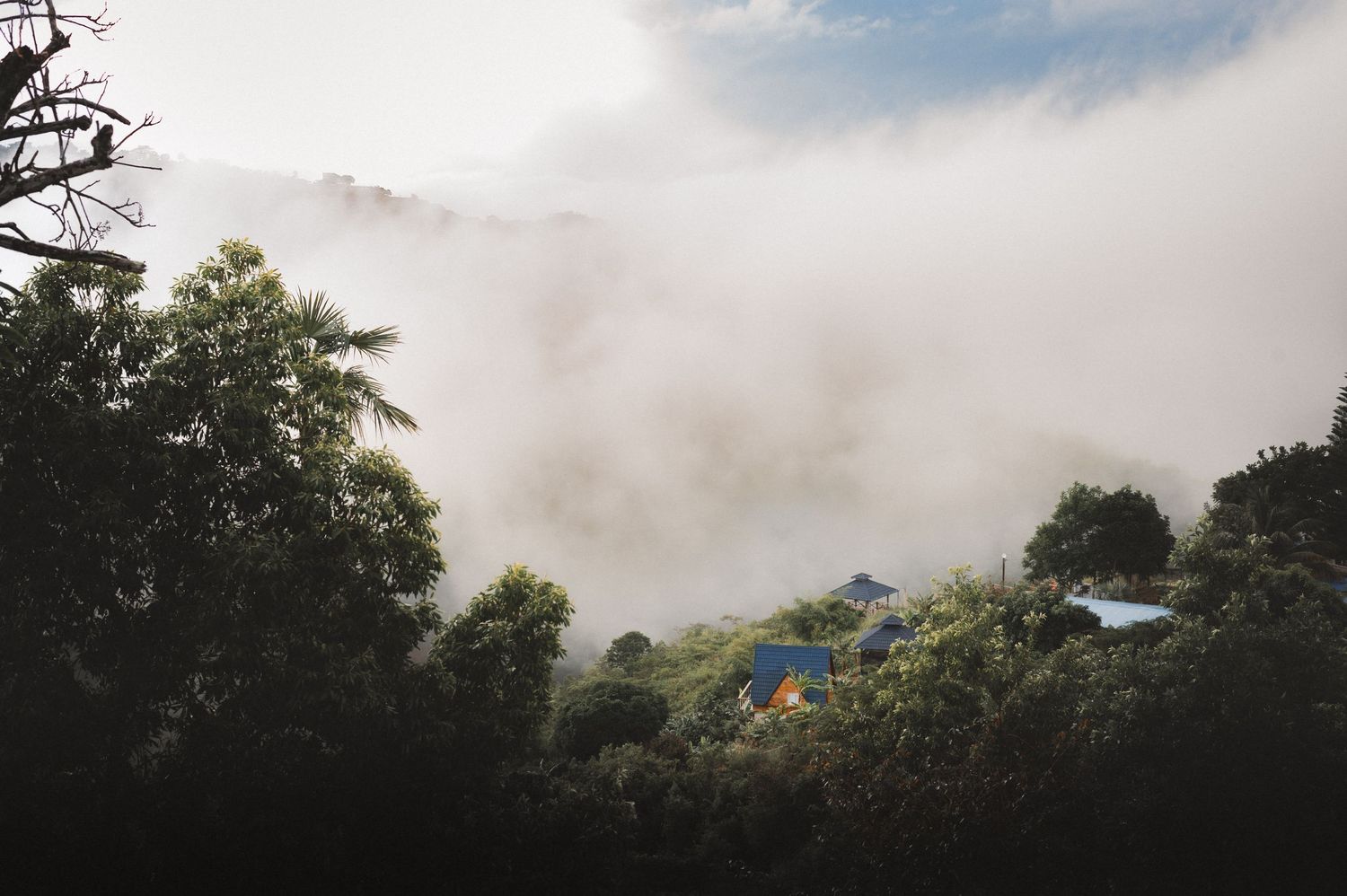 Misty mountain landscape with fog rolling over lush green trees and colorful rooftops of a hillside village.