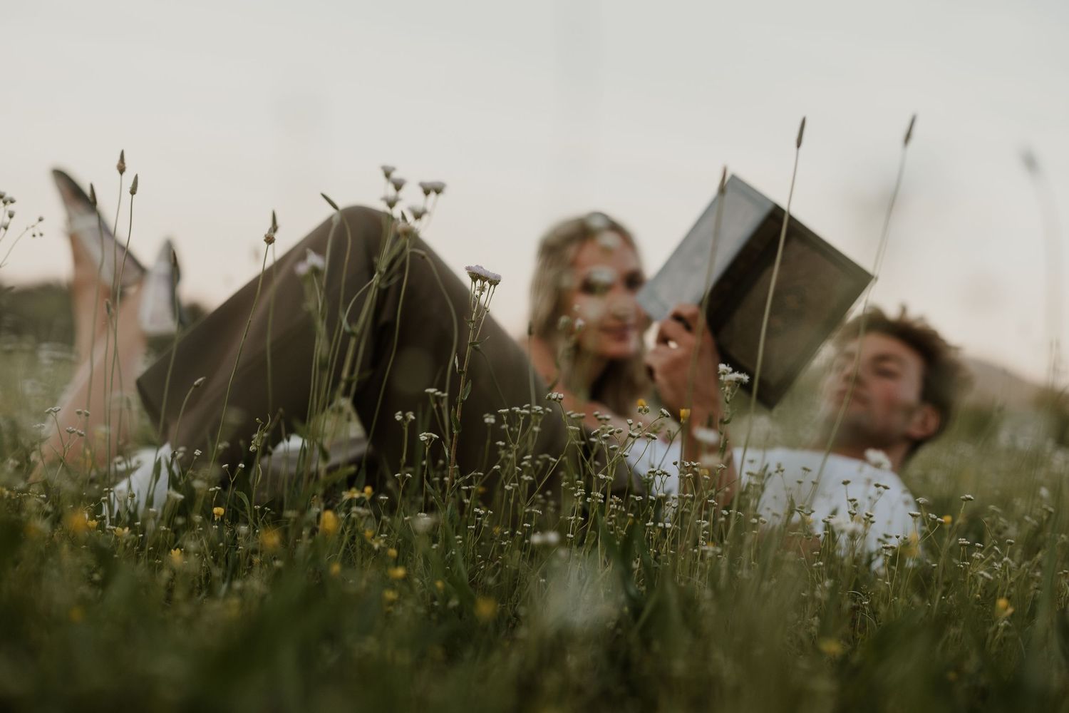 Couple lying in a wildflower meadow, relaxing and reading a book together on a warm day.