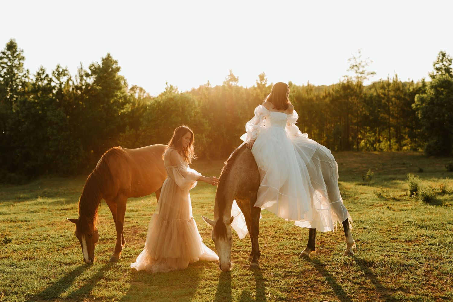 Two brides in flowing gowns pose with horses at golden hour in a sunlit meadow surrounded by trees.