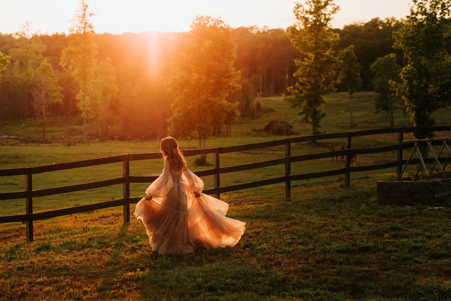 A bride in a flowing gown twirls at golden sunset by a wooden fence on a lush green farm.