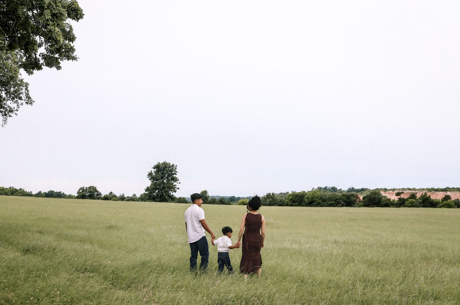 Family of three holding hands while standing in open green field, viewed from behind with trees on horizon.