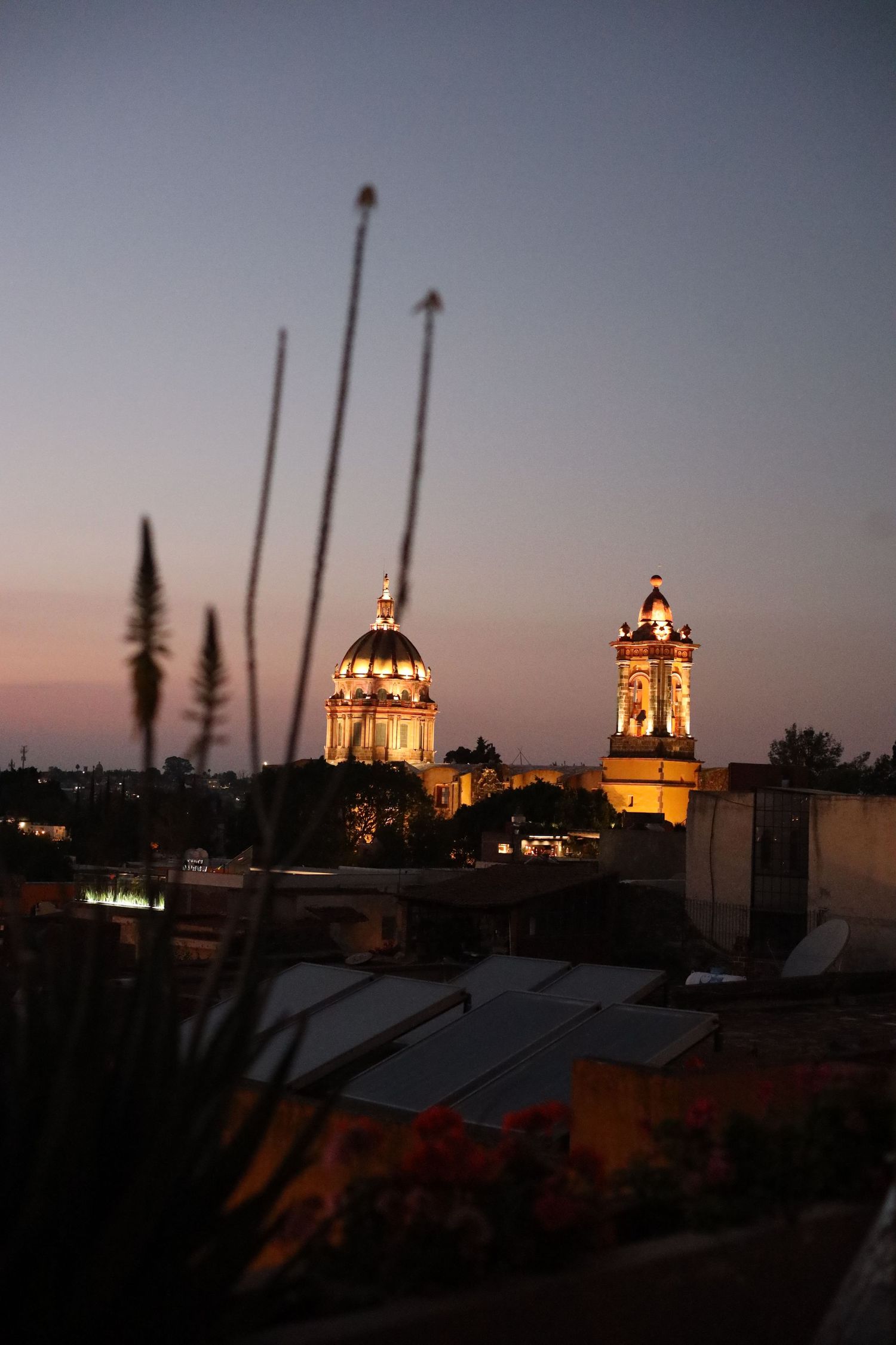 Illuminated cathedral dome and bell tower glowing at dusk in San Miguel de Allende, Mexico, with flowers in foreground.