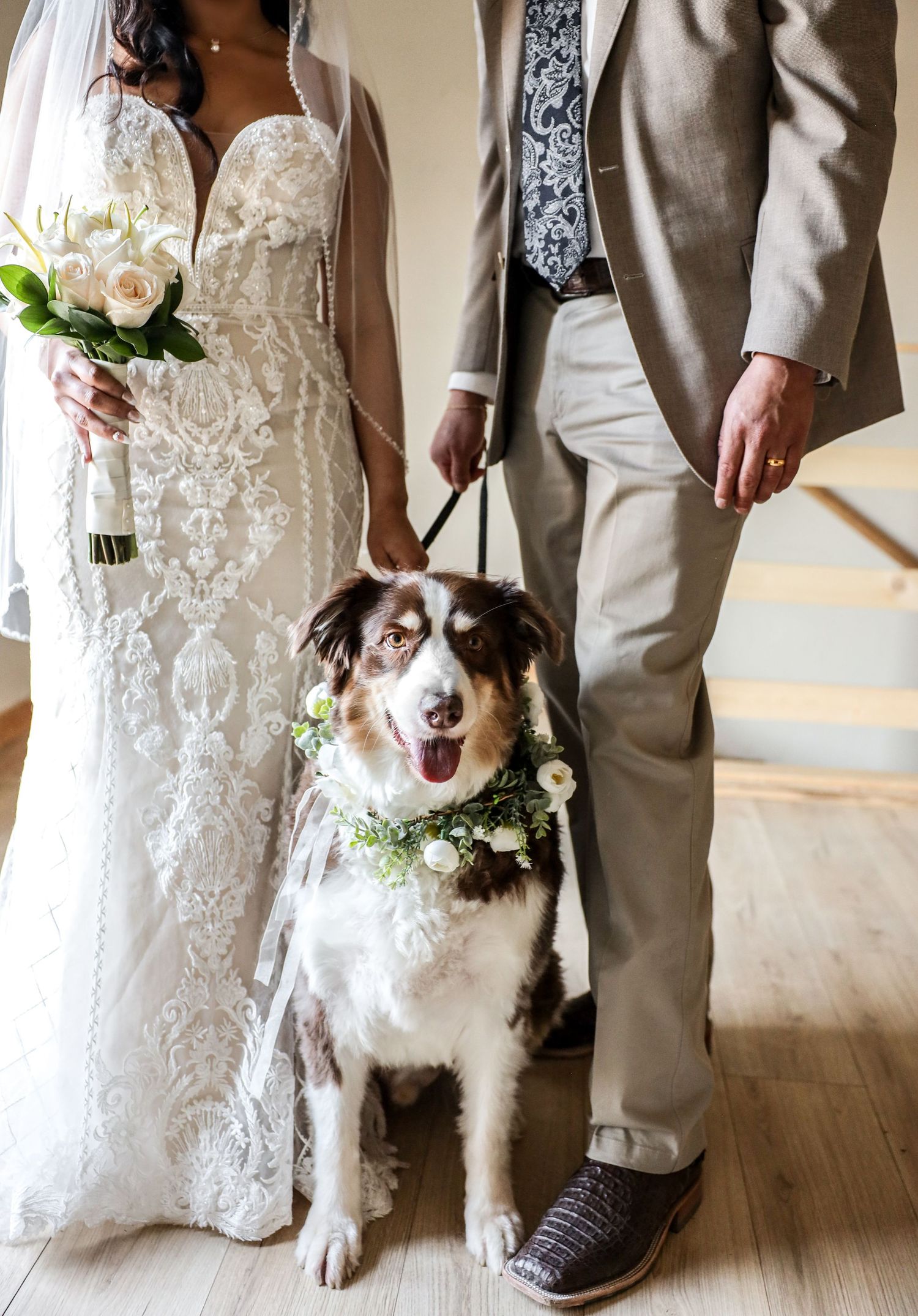 Happy Australian Shepherd dog wearing floral collar stands with bride in lace gown and suited groom.