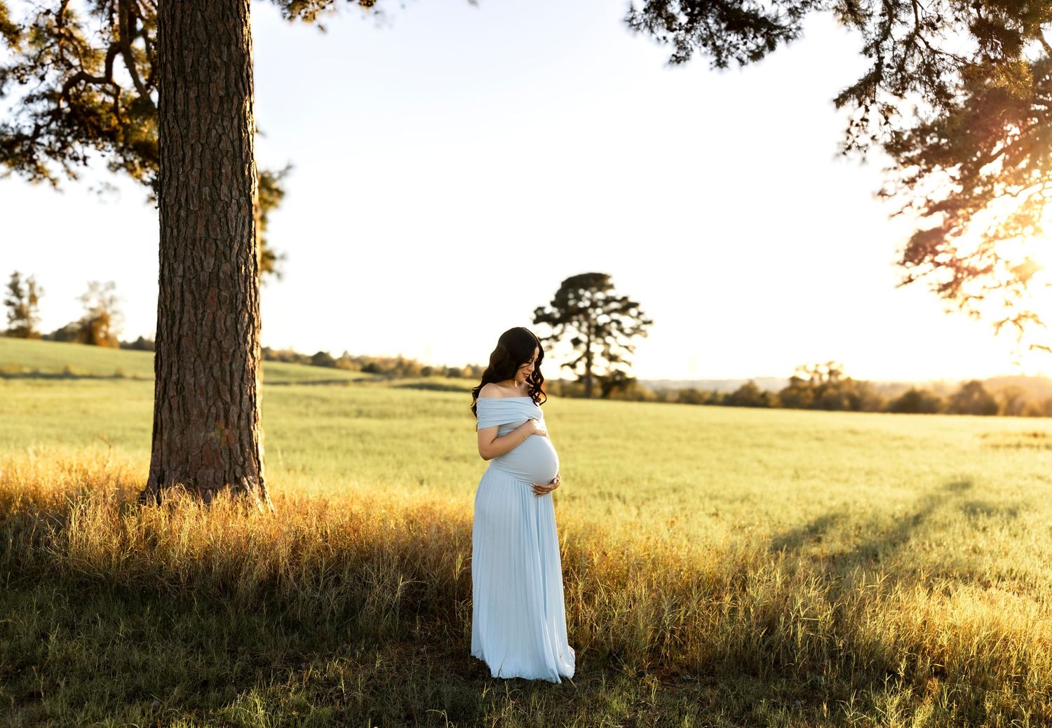Pregnant woman in white off-shoulder gown standing under large tree in golden sunlit field at sunset.