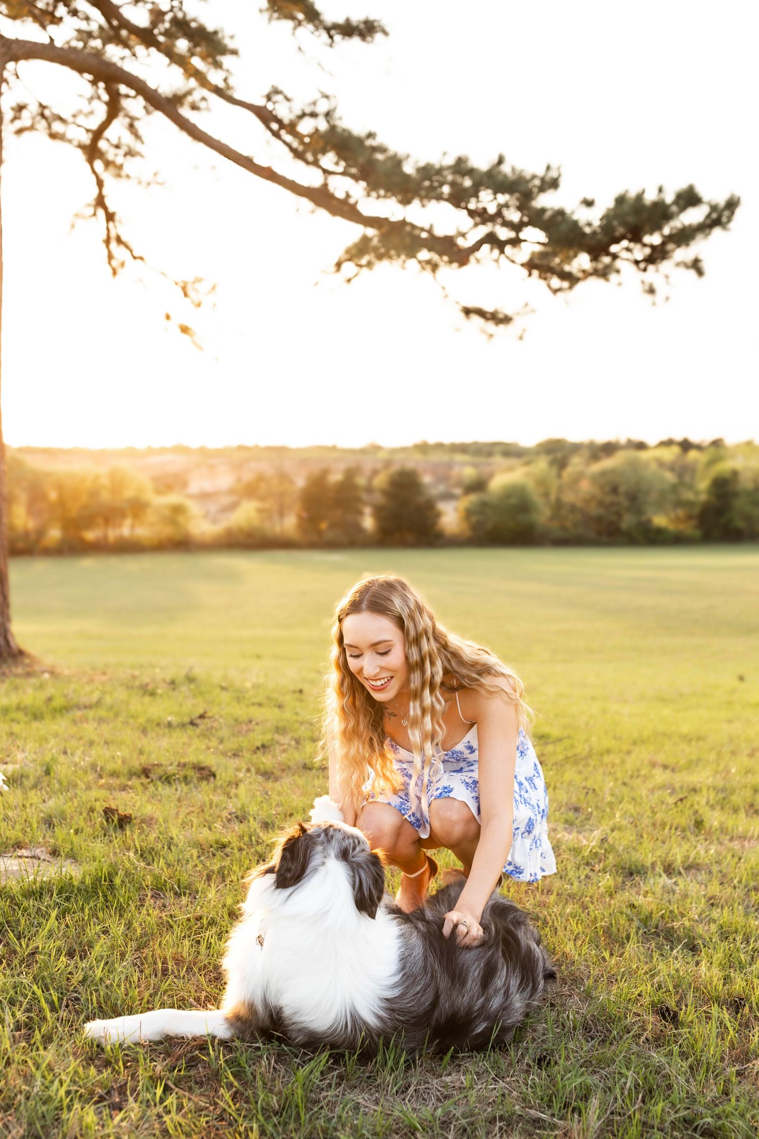 Young woman in floral dress smiling while petting her Sheltie dog on a sunny green field at golden hour.