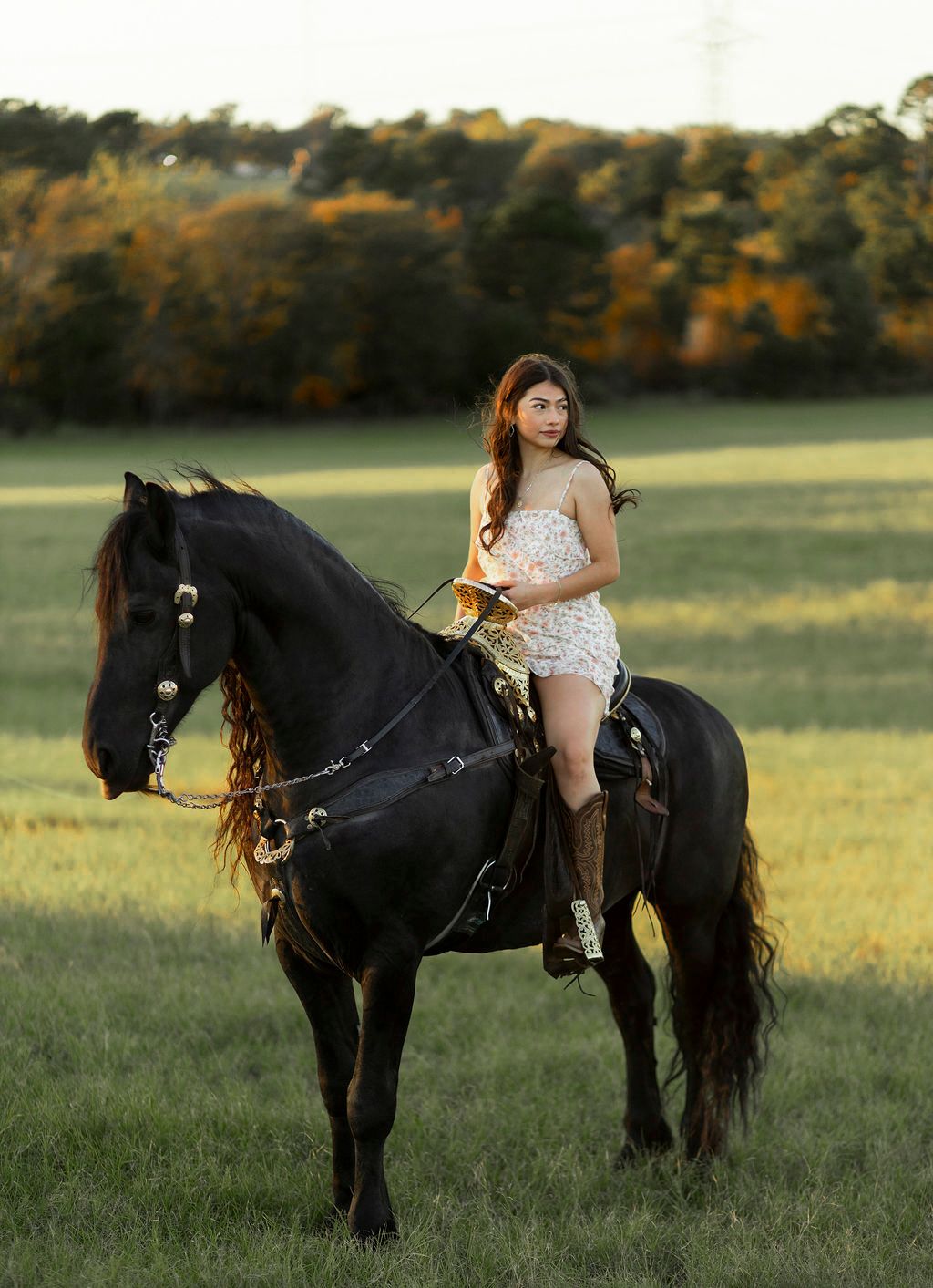 Woman riding a horse in an open field during golden hour, lifestyle portrait photography session in East Texas countryside