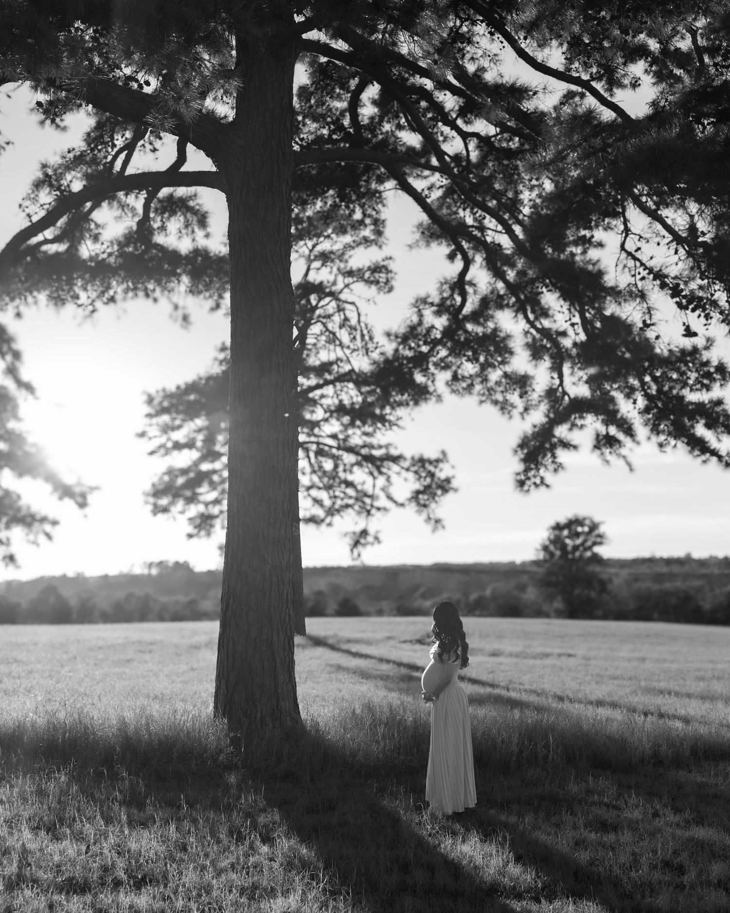 Black and white maternity photo of pregnant woman standing beneath tall tree in open field at sunset.