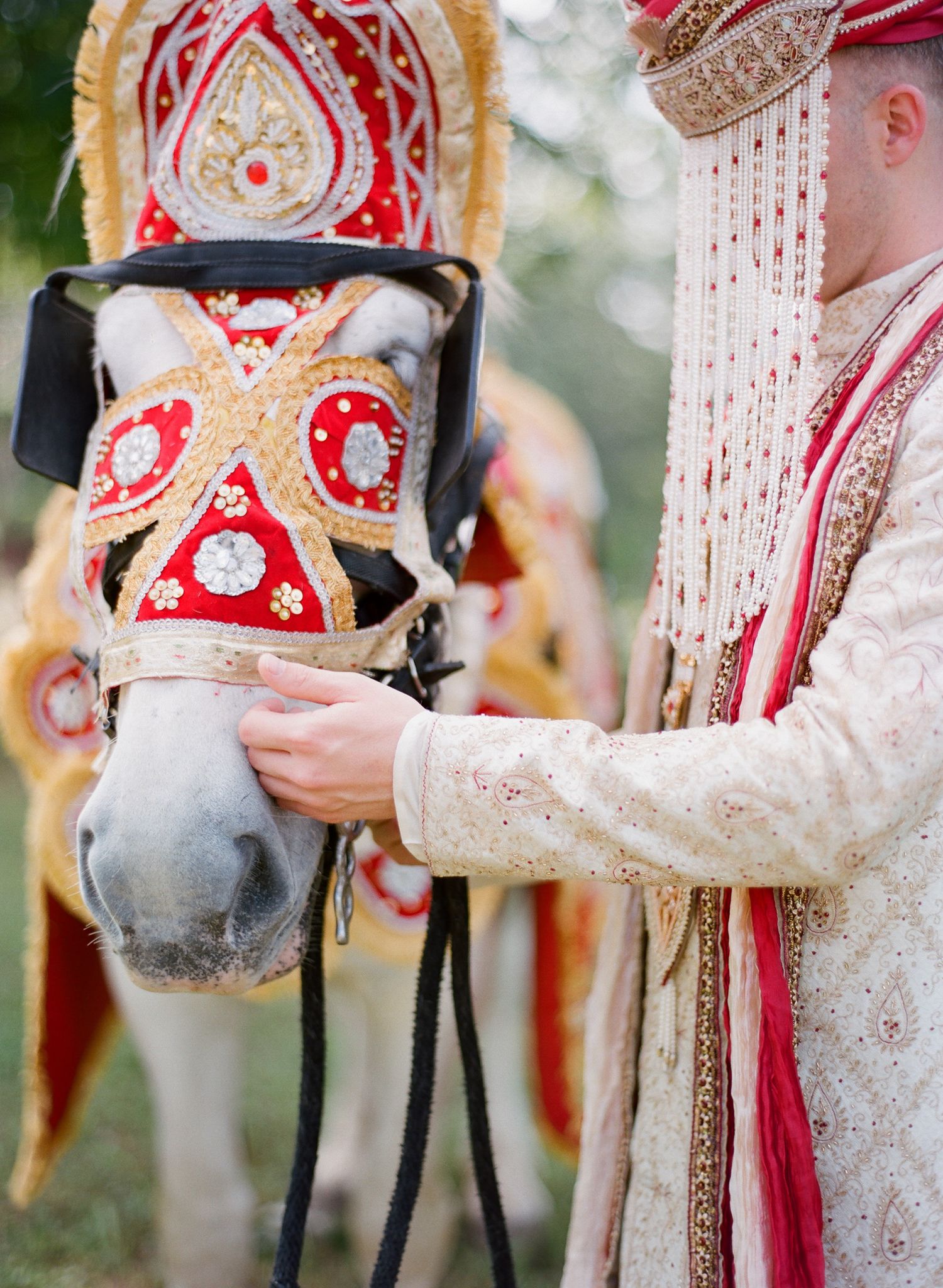 Indian groom in traditional sherwani and sehra holds decorated white horse with red and gold ornamental headpiece.