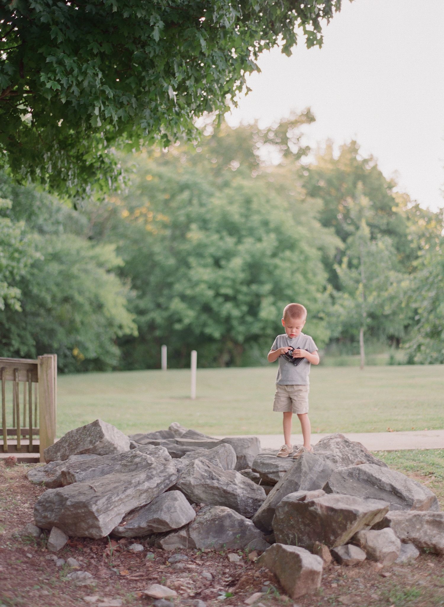 Large rocks arranged in a landscaped outdoor area with trees in the background.