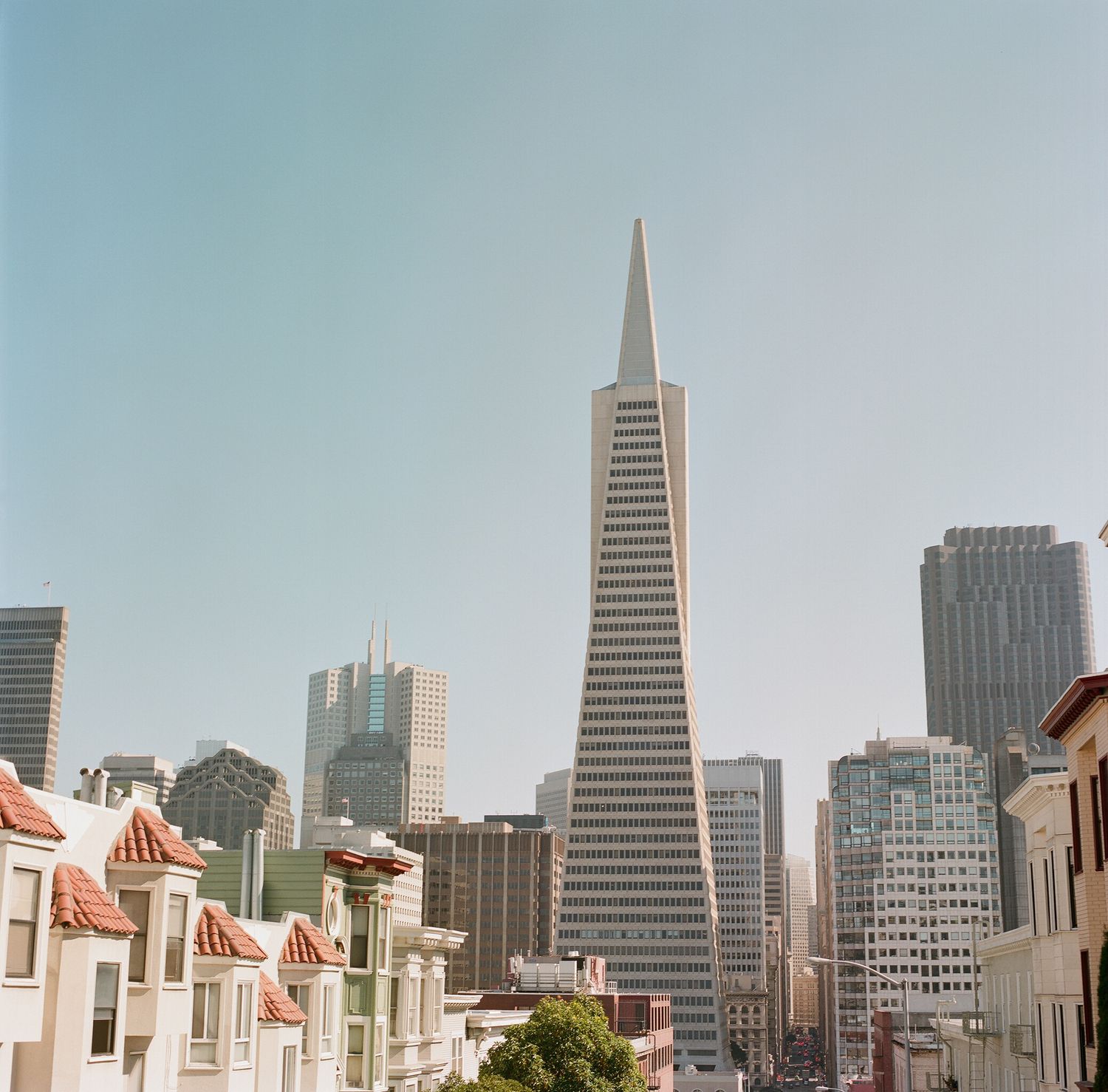 San Francisco skyline featuring the iconic Transamerica Pyramid and other downtown skyscrapers.