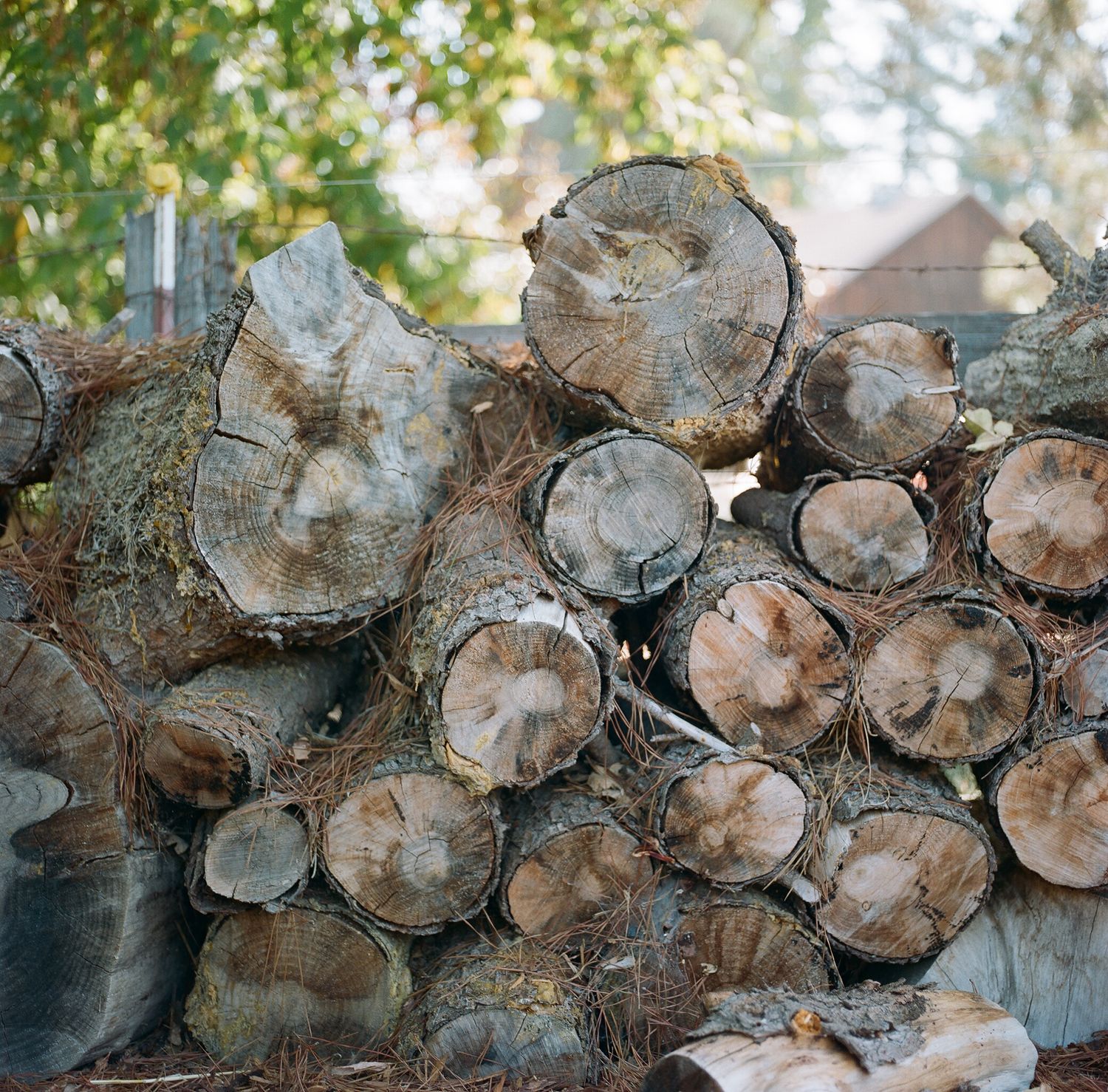 Stack of weathered cut logs showing natural wood grain patterns.