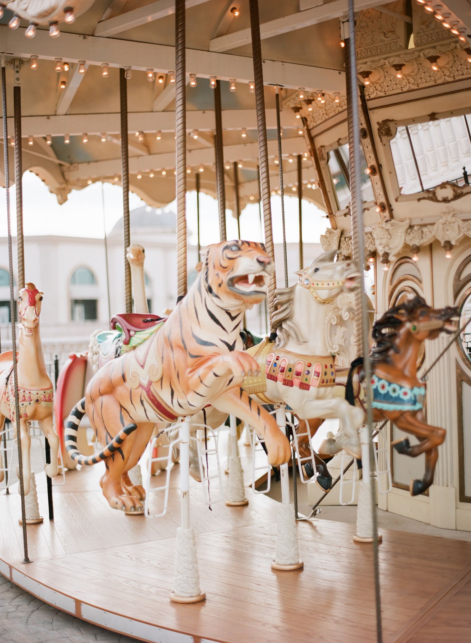 Classic merry-go-round horses mounted on poles with warm lighting and traditional carousel design.