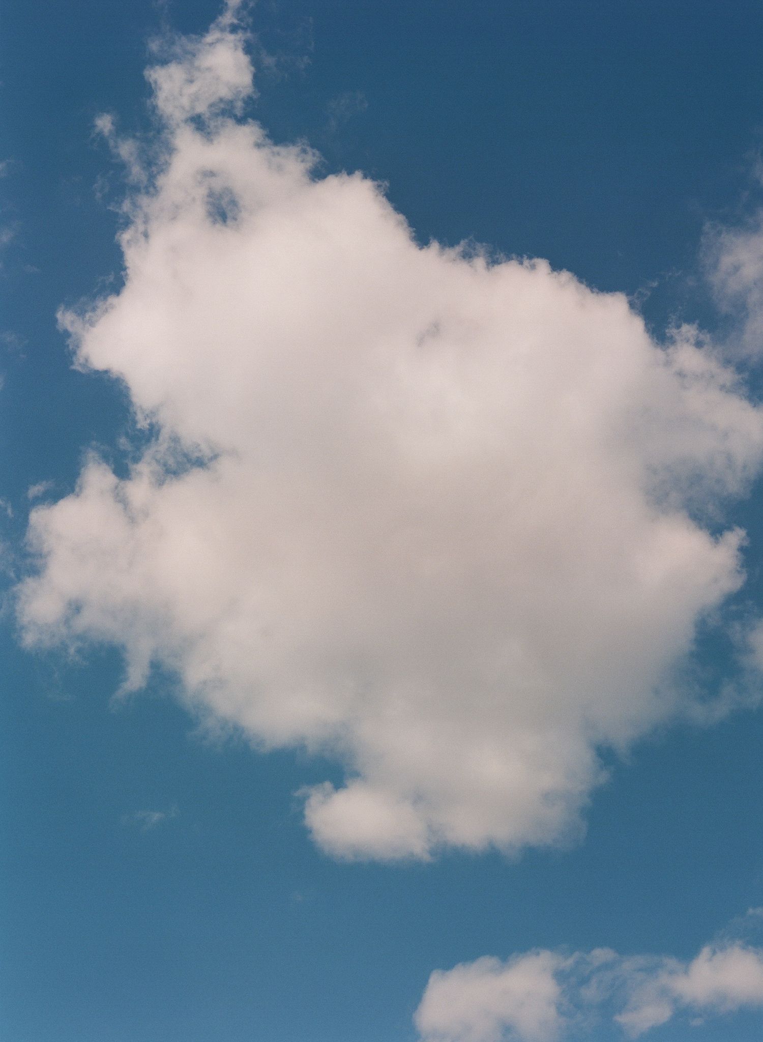 Fluffy white cloud against vibrant blue sky on sunny day.