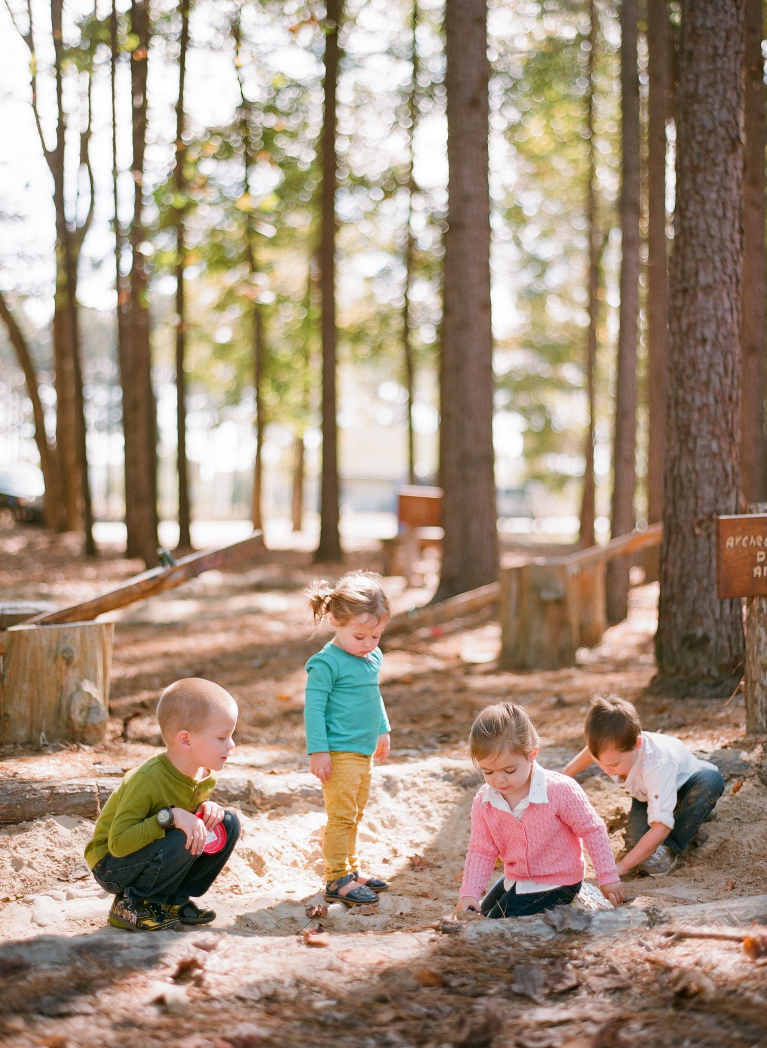 Children playing and exploring in a sunlit pine forest.