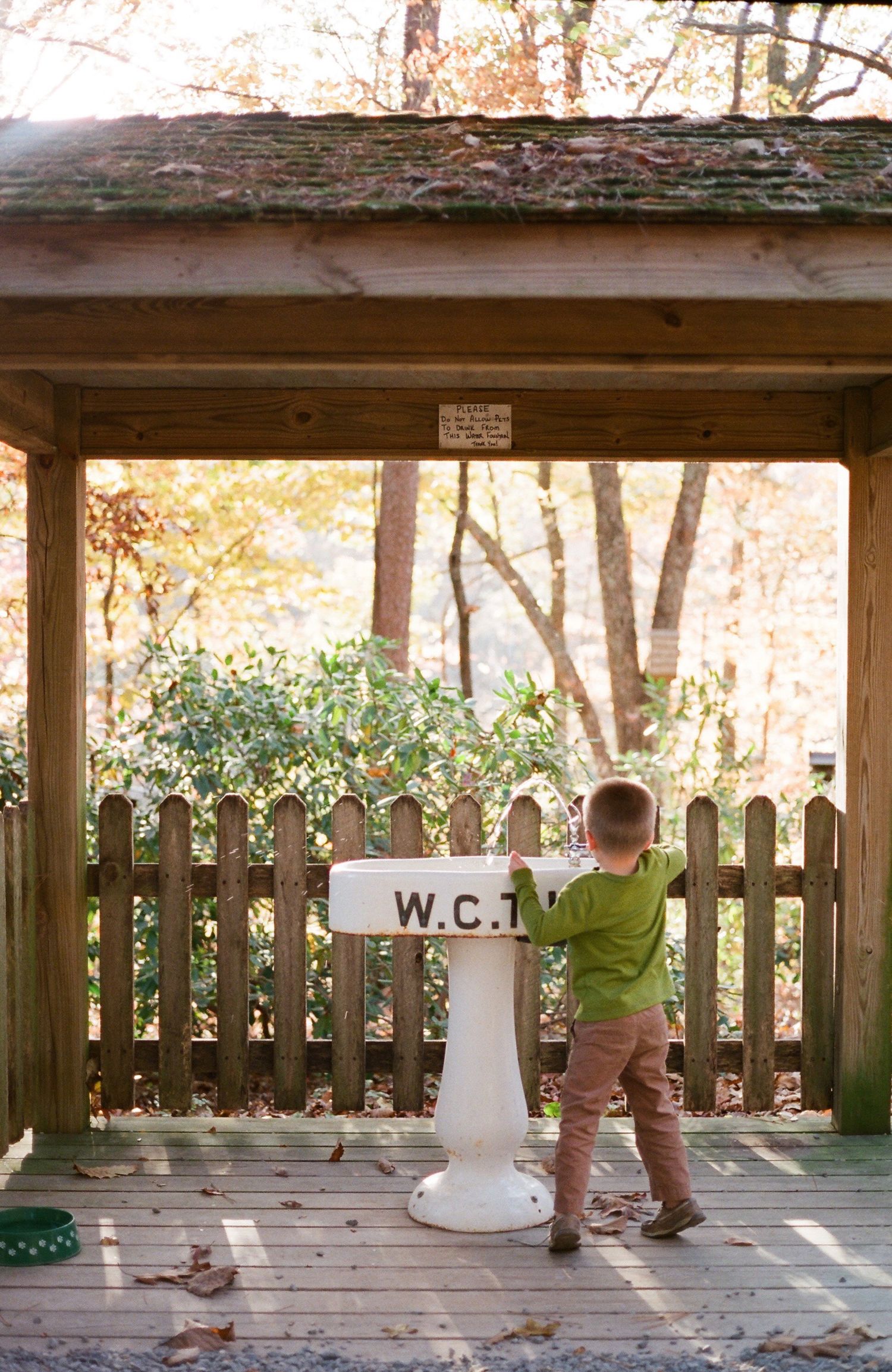 Wooden deck or porch with children playing in natural outdoor setting.