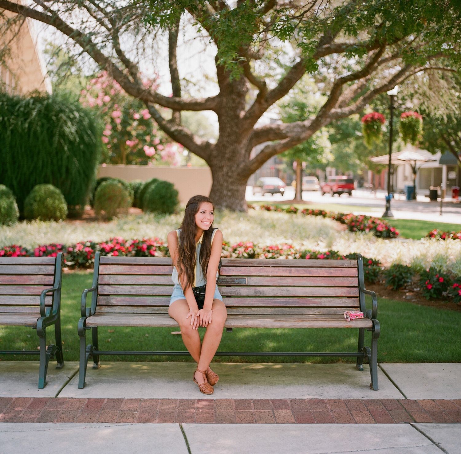 Series of park benches under large shade trees in a landscaped garden setting.