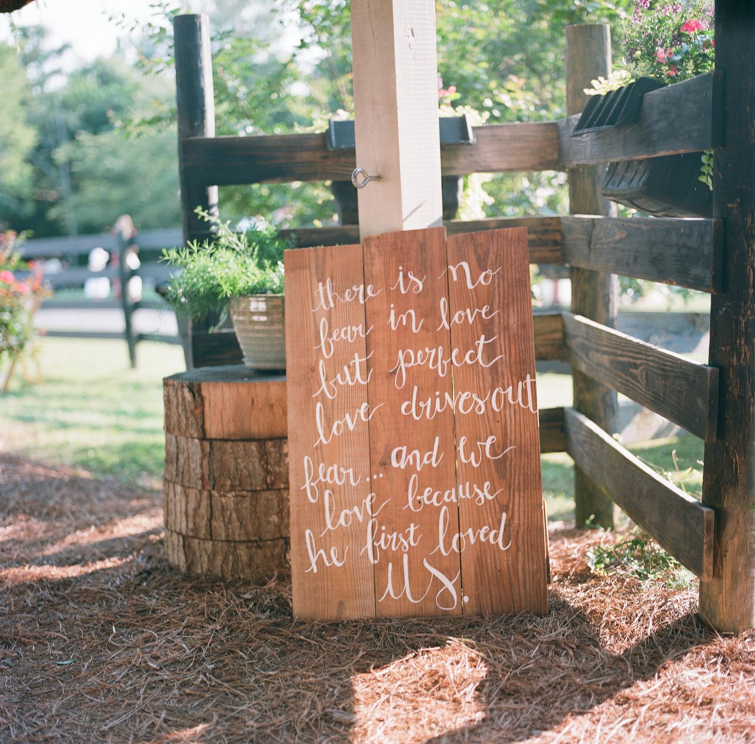 Rustic wooden signs with romantic quotes displayed on ground with mulch and greenery.