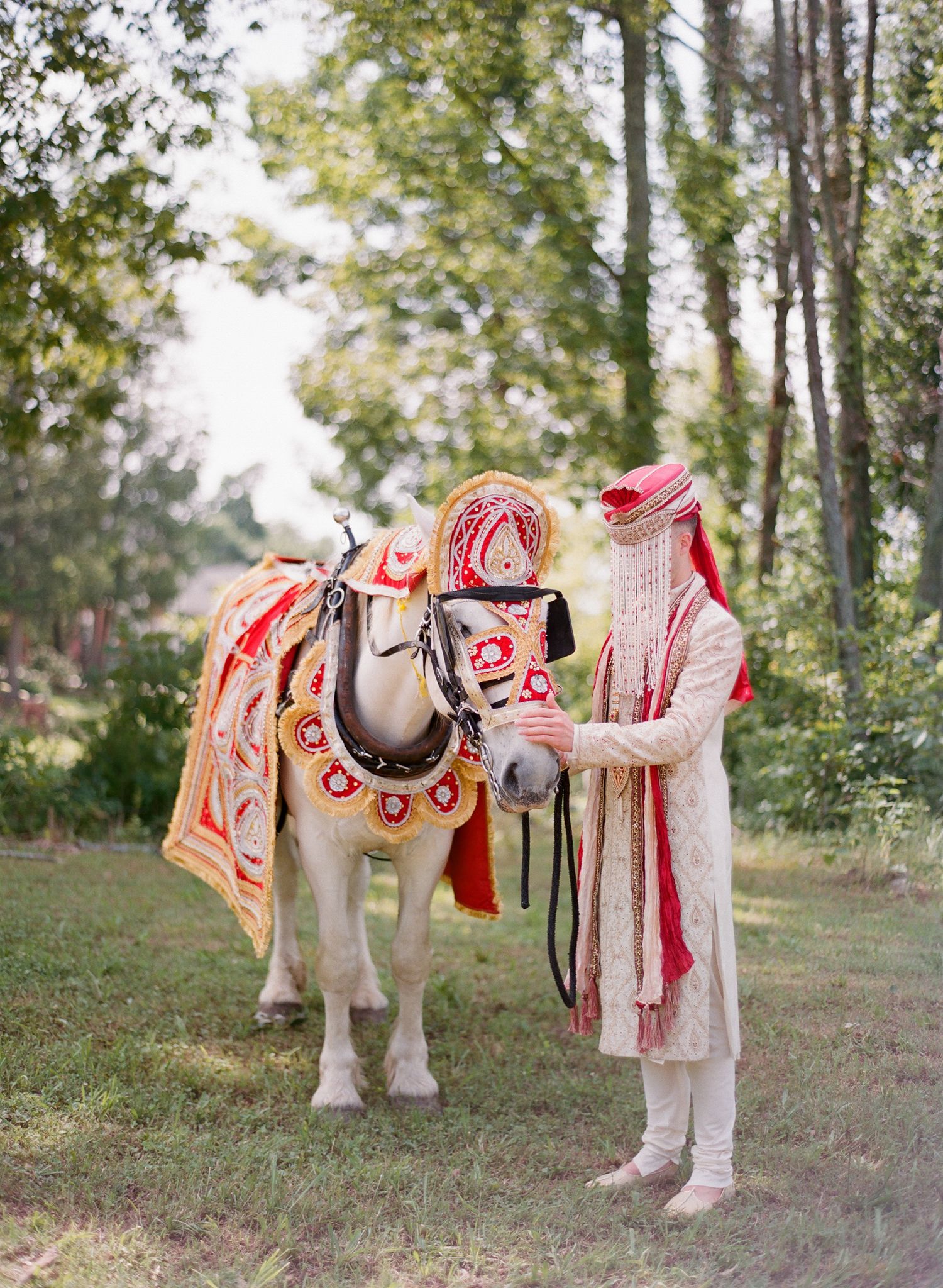 Decorated white horse with ornate red and gold Indian wedding attire standing in a forest clearing.