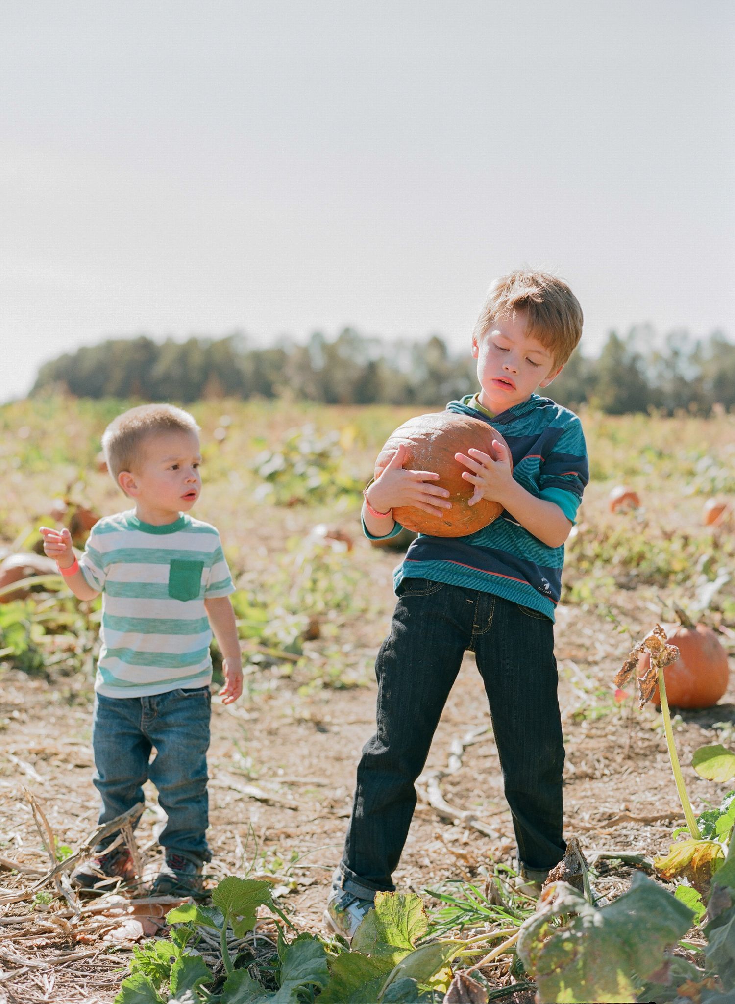 Children playing in pumpkin patch wearing casual clothes during fall season.