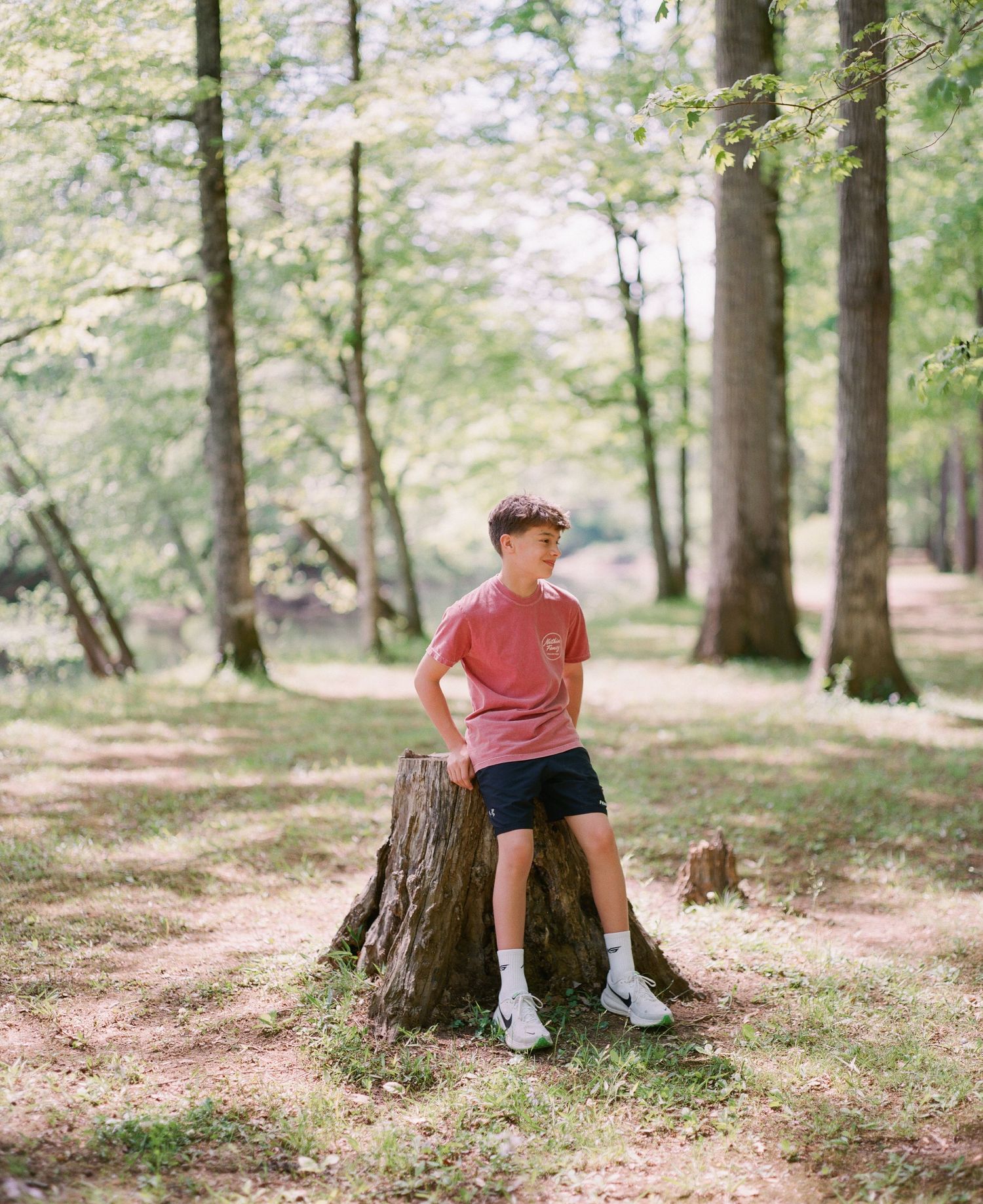 A young boy in a red shirt and navy shorts stands on a tree stump in a sunlit forest.
