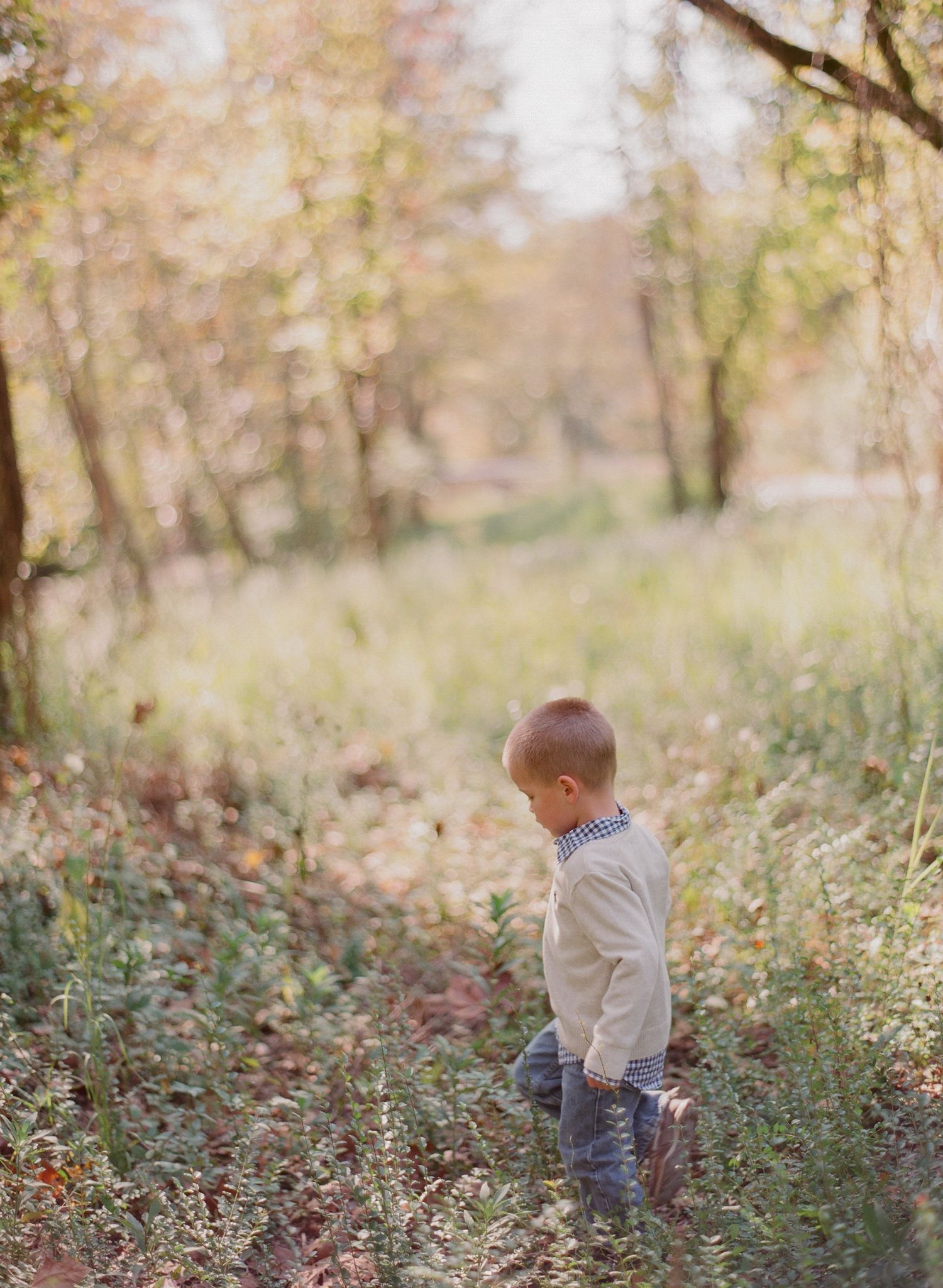 Child playing in a field of wildflowers during golden hour.