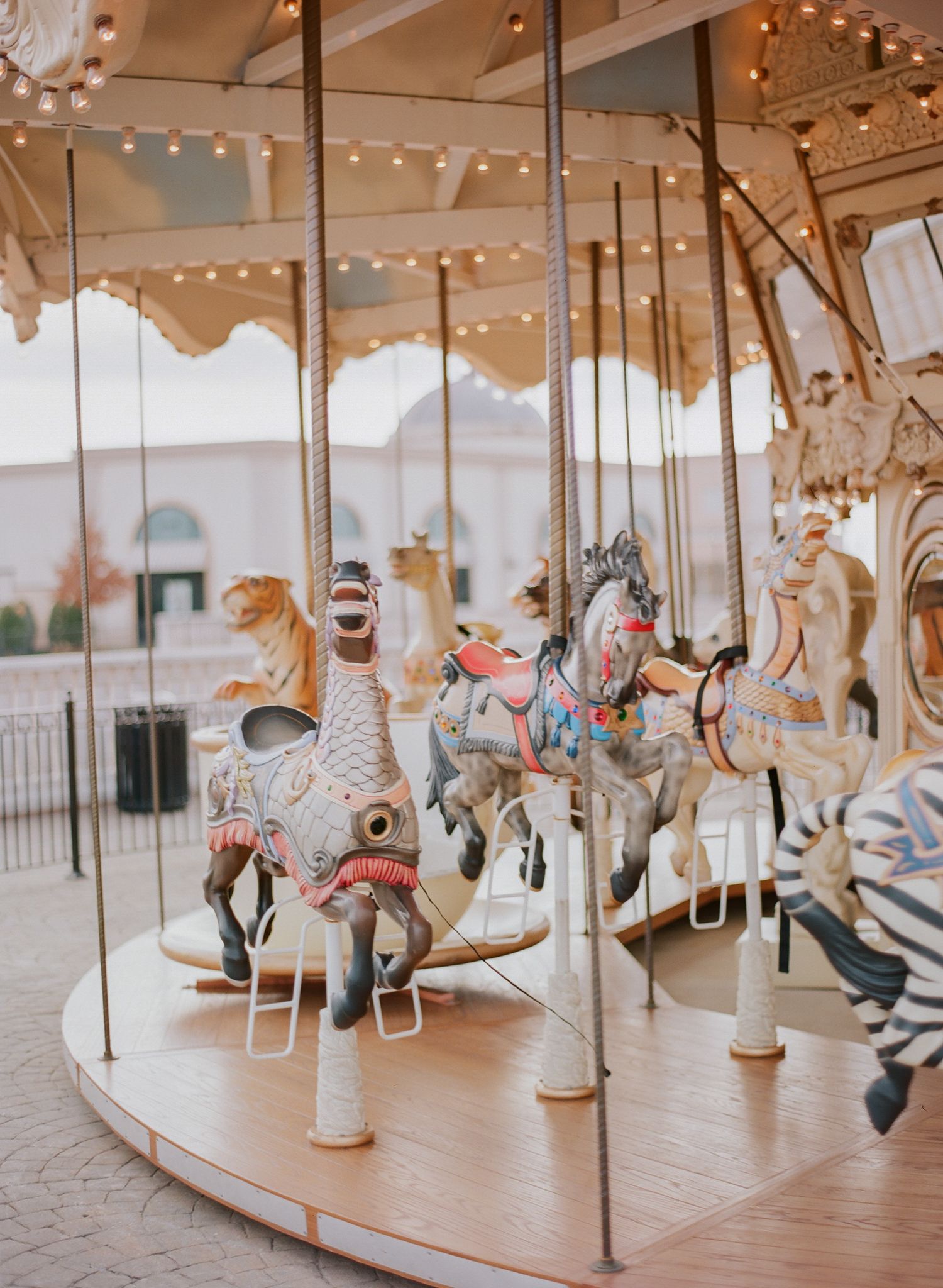 Vintage carousel with beautifully painted horses and decorative lighting in a traditional fairground setting.
