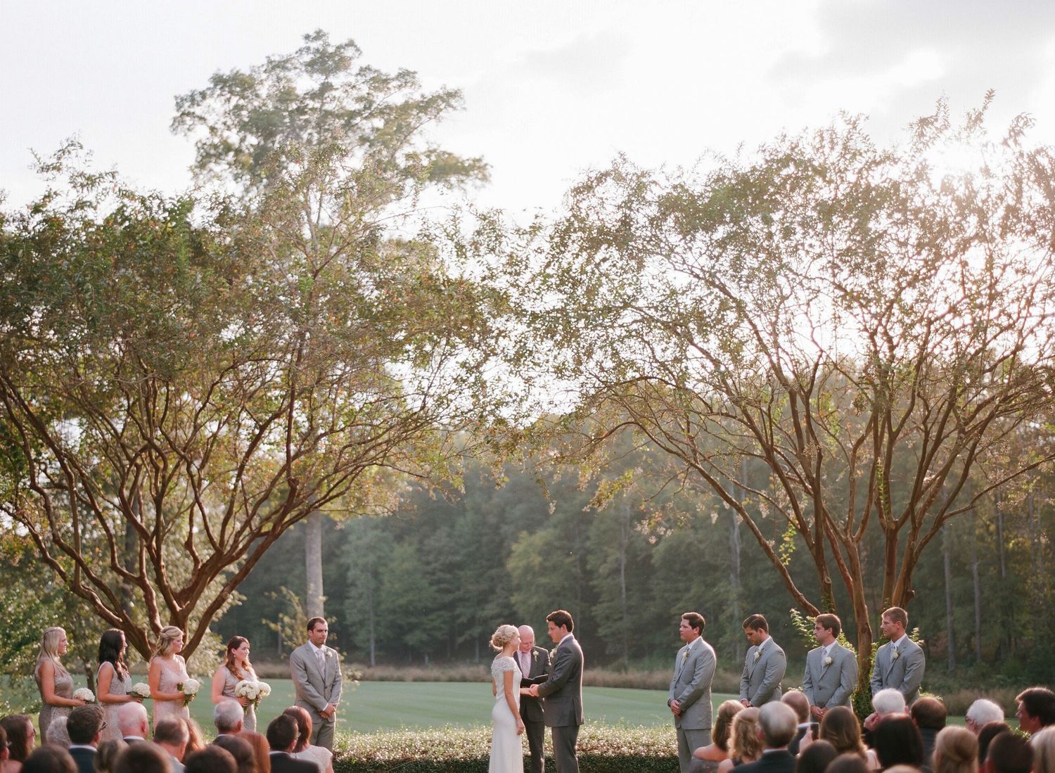 Wedding party poses under trees at sunset creating a panoramic group photo.