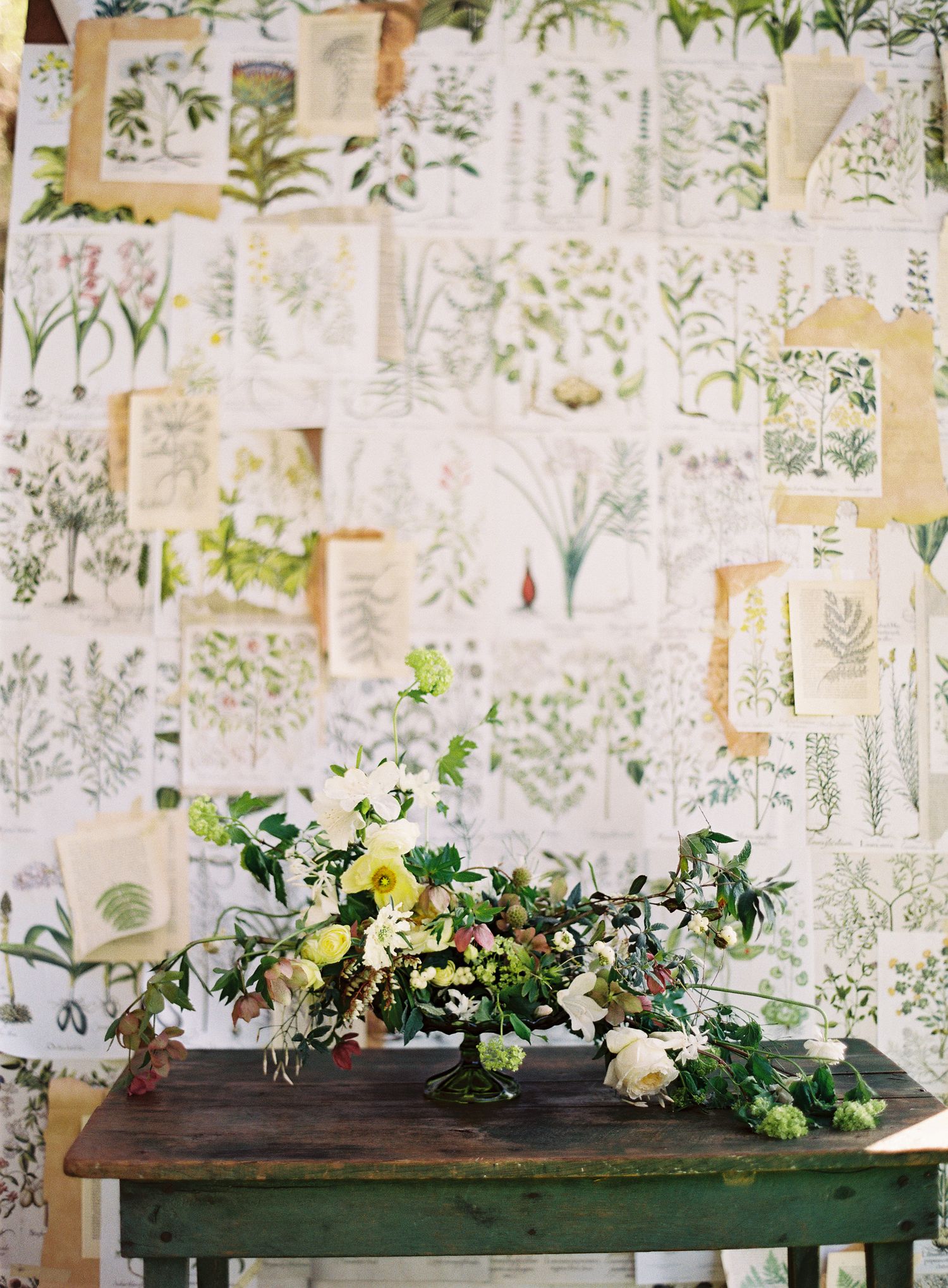 Rustic wooden table decorated with white floral arrangements against botanical print backdrop.