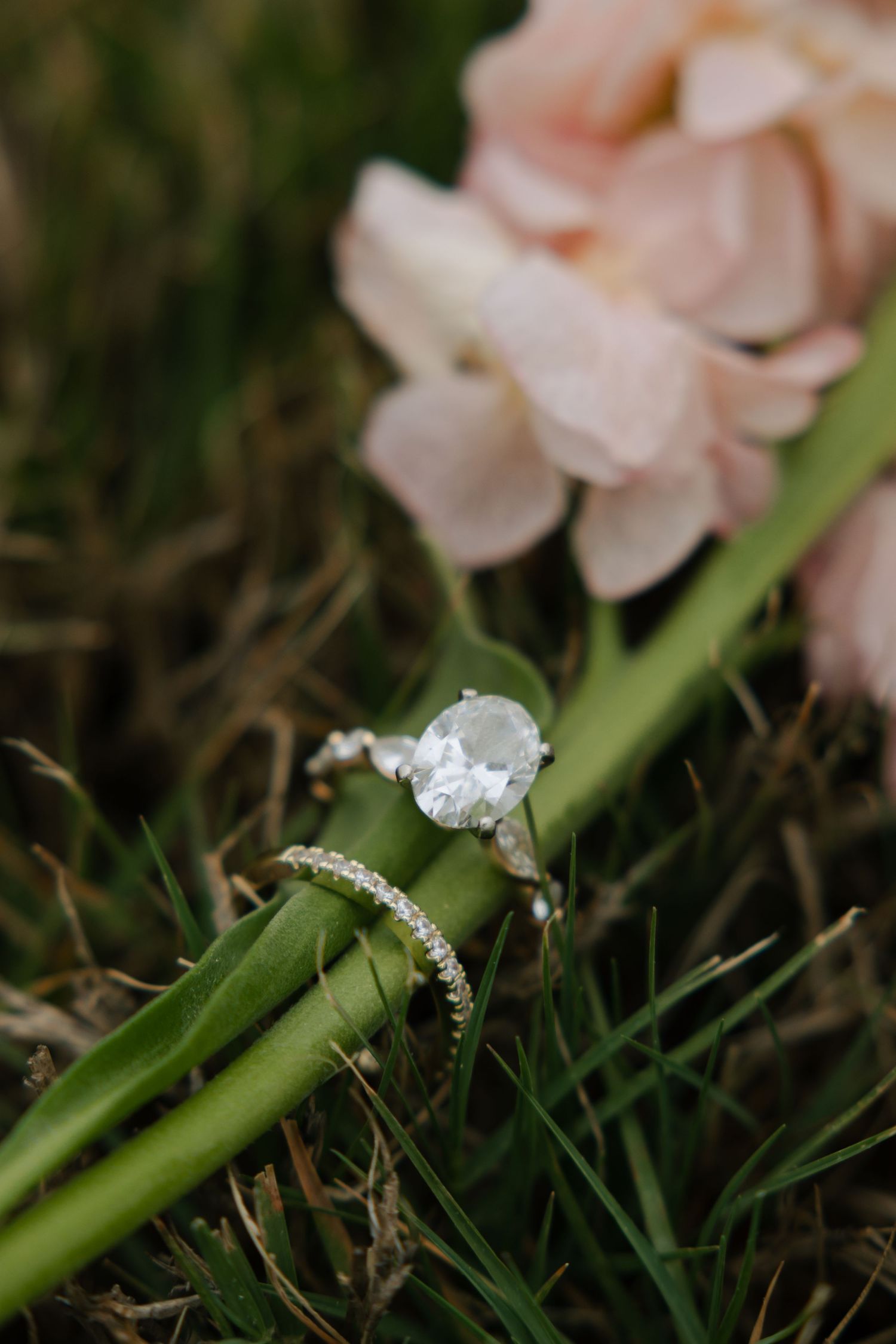 Close-up of a diamond engagement ring and wedding band resting on a green flower stem with soft pink blooms.