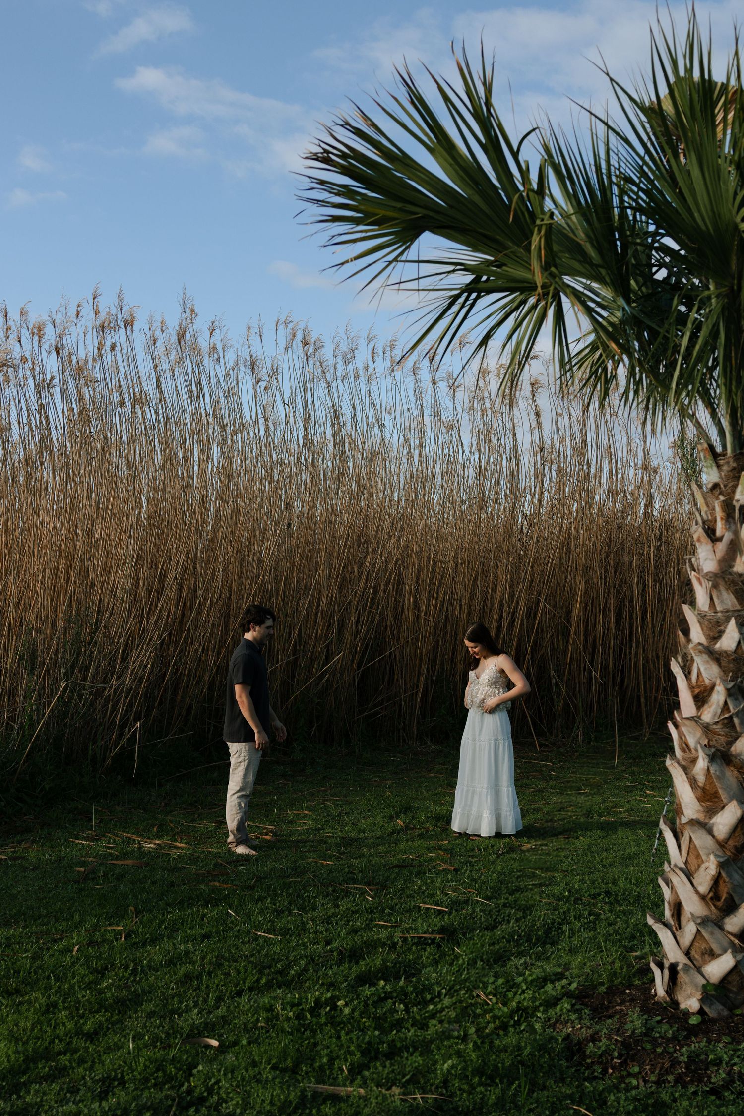 Couple standing apart near a palm tree with tall golden reeds and blue sky in the background.
