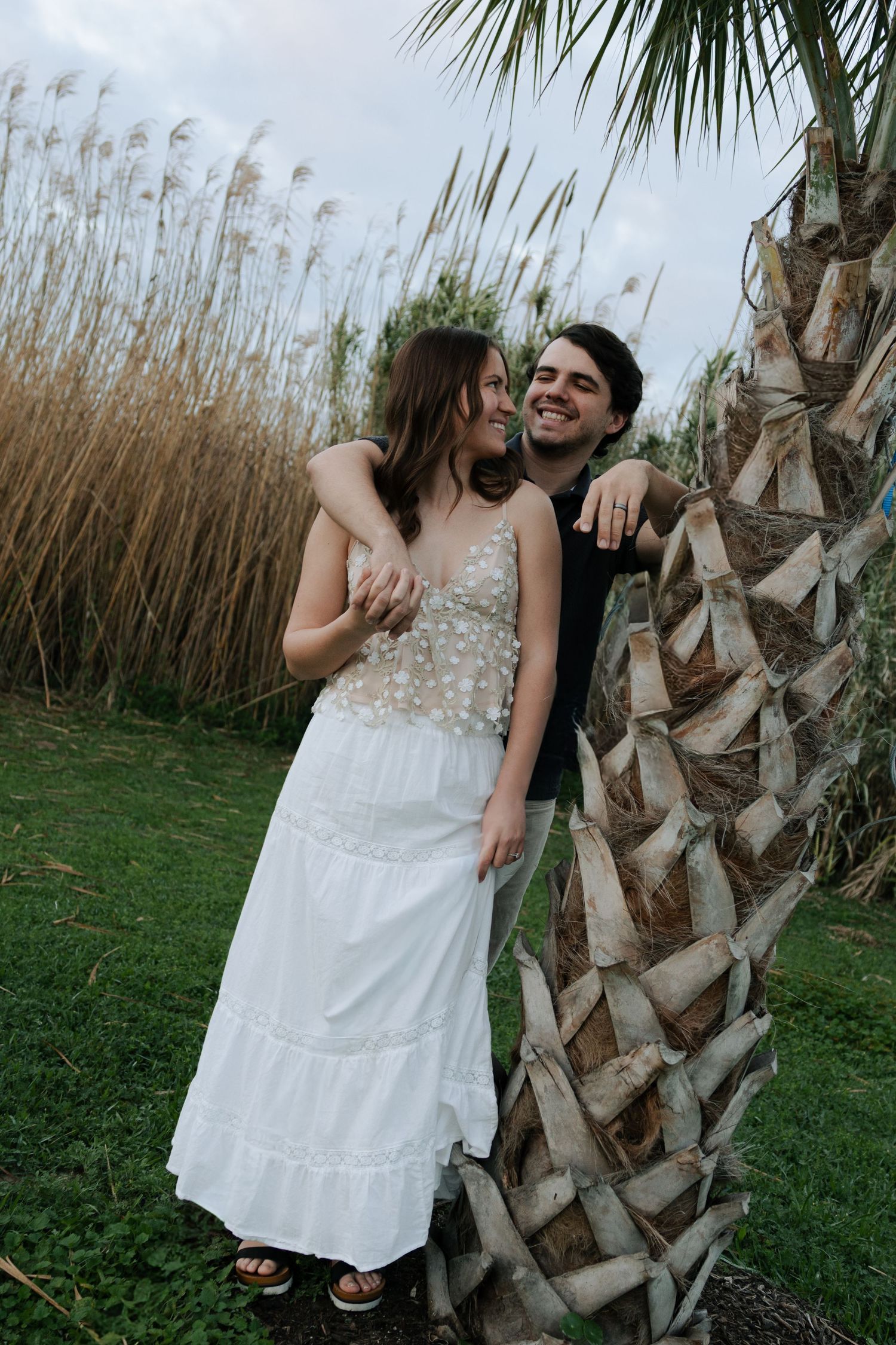 Smiling engaged couple embracing beside a palm tree with tall golden grass background.