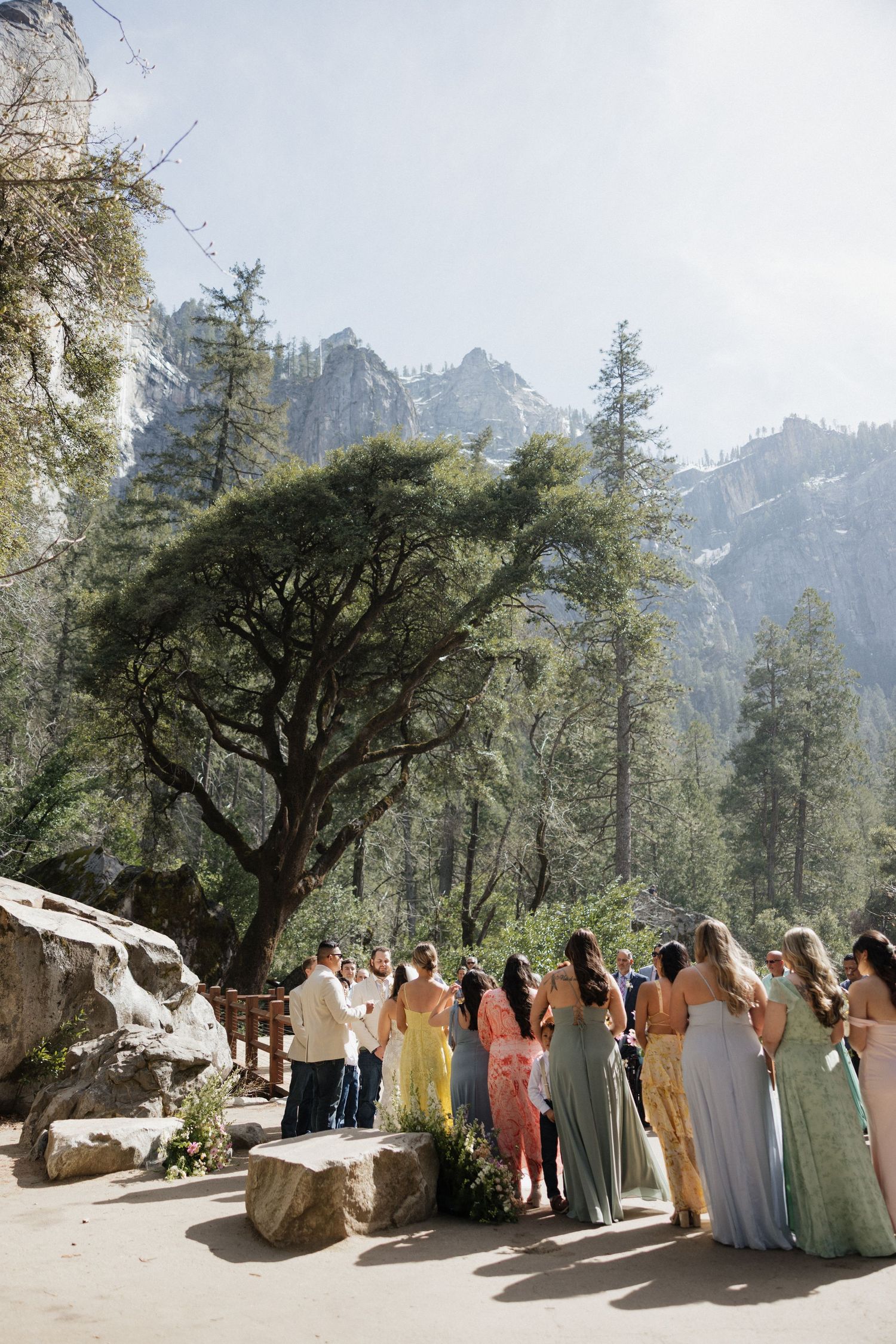 Wedding party lined up against a scenic mountain backdrop with tall pine trees.