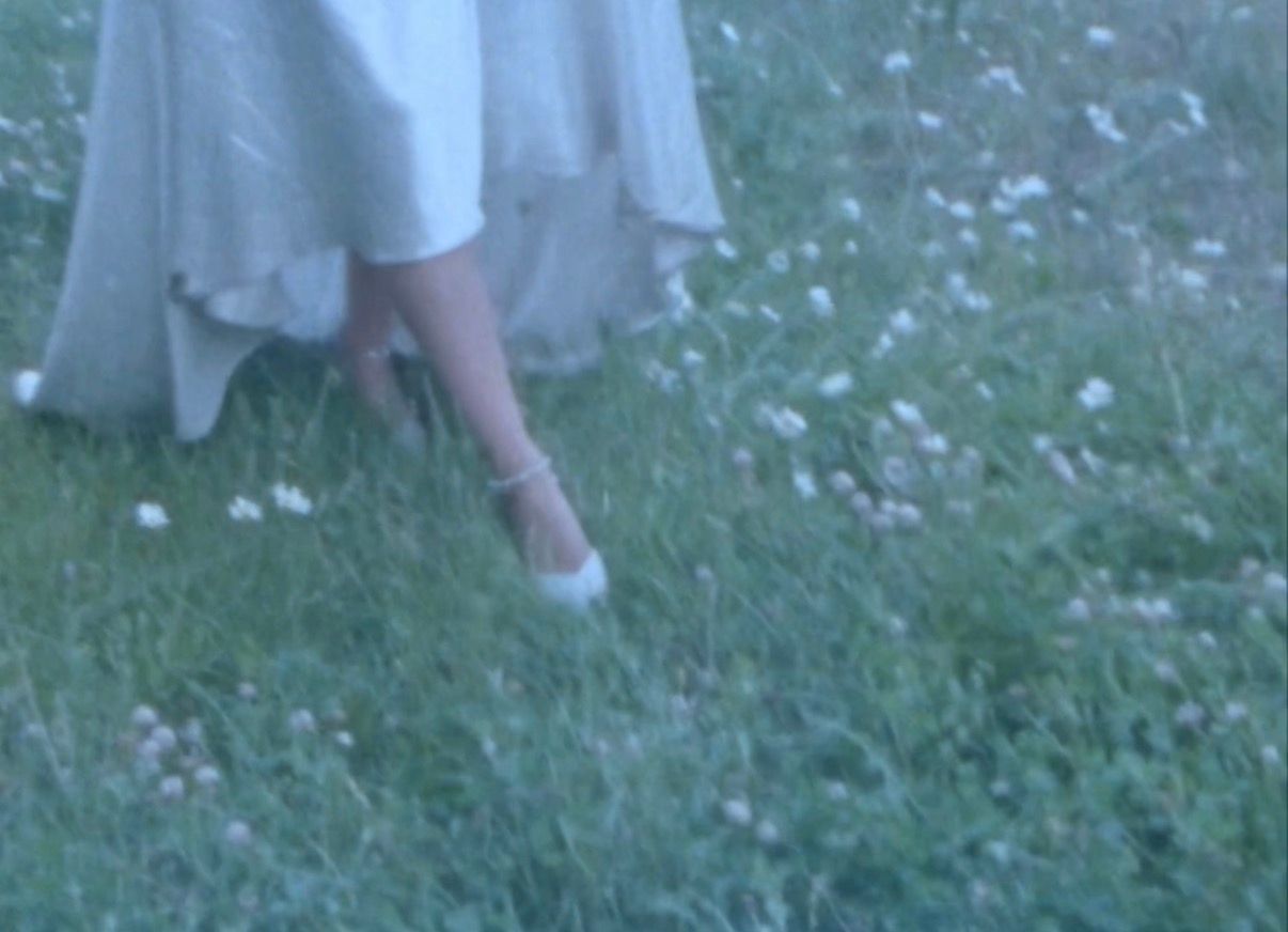 Wedding party gathered on grassy field with scattered white flowers.