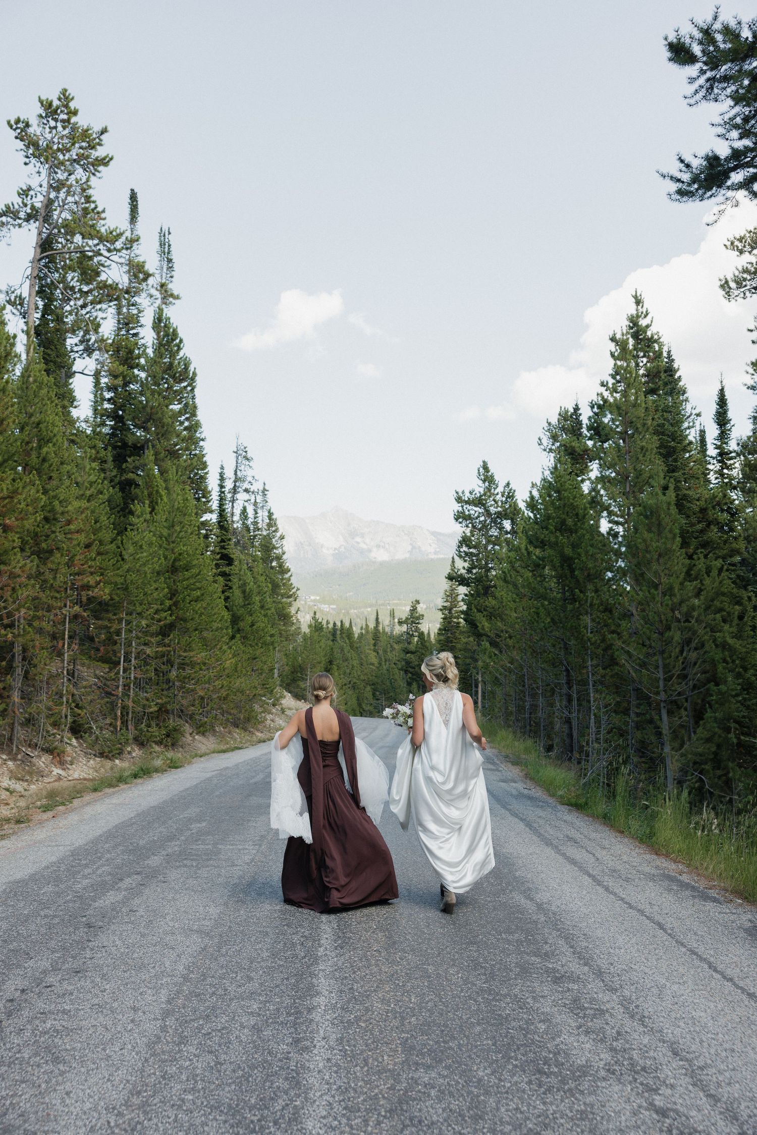 Two people walking down a mountain road surrounded by evergreen forest.