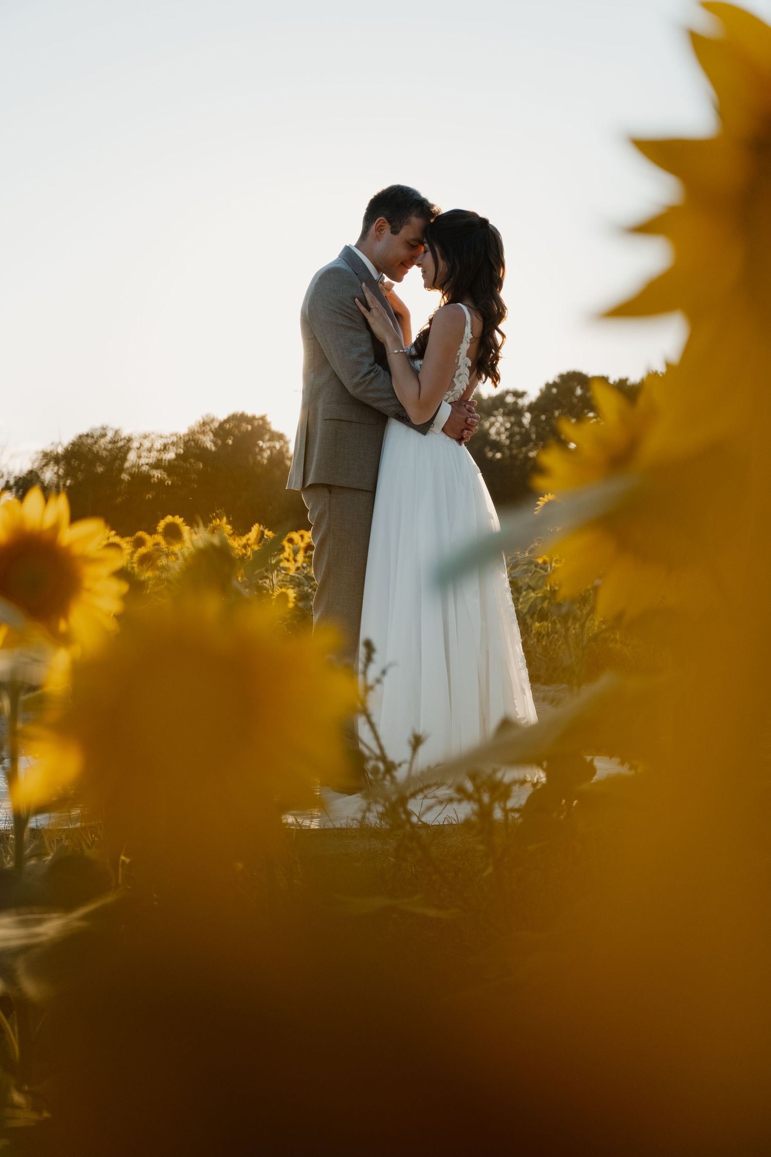 Romantic couple in wedding attire embracing in golden sunflower field at sunset.