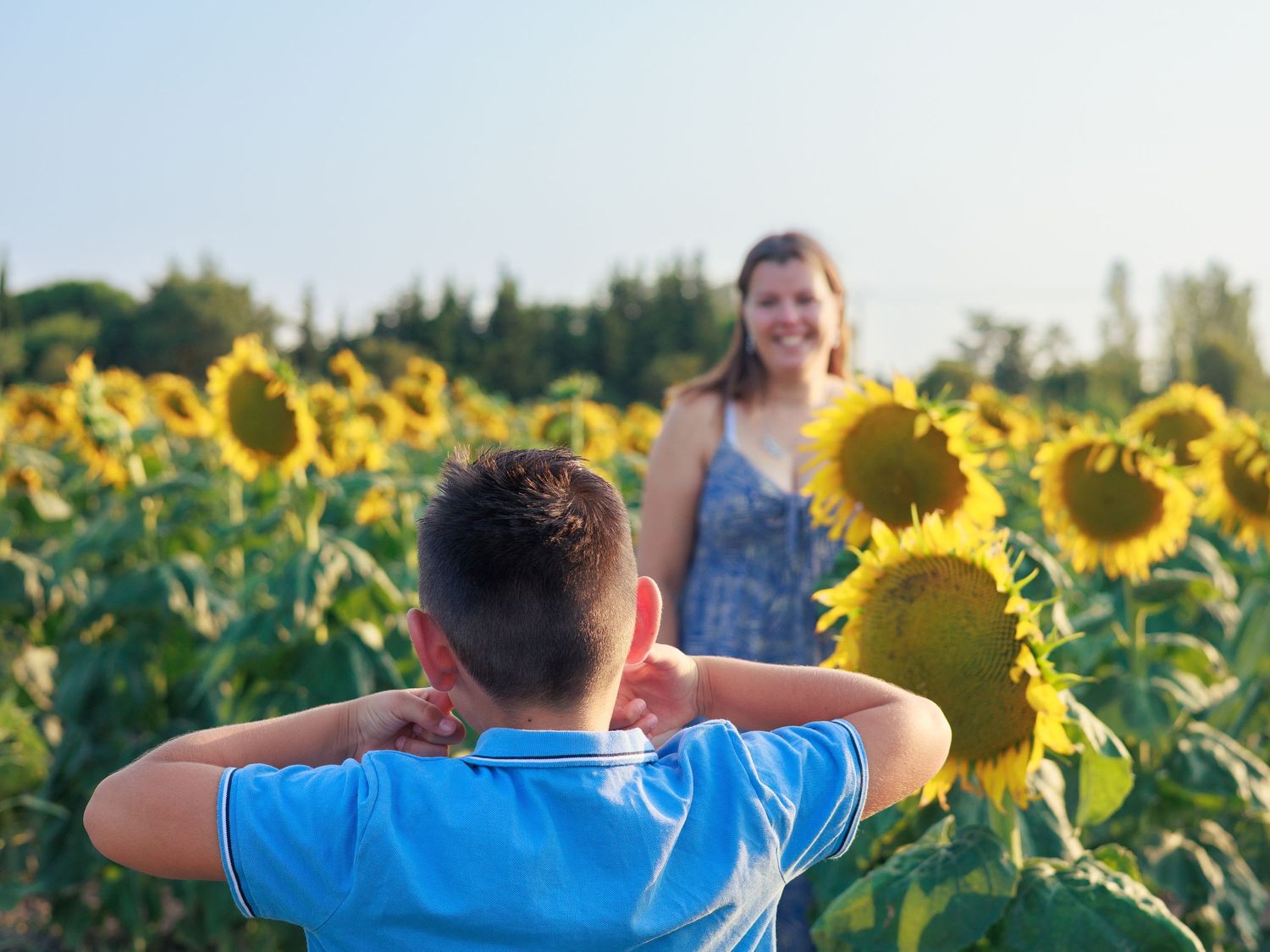 Un enfant fait des grimaces à sa mère dans un champ de tournesols à Caderousse.
