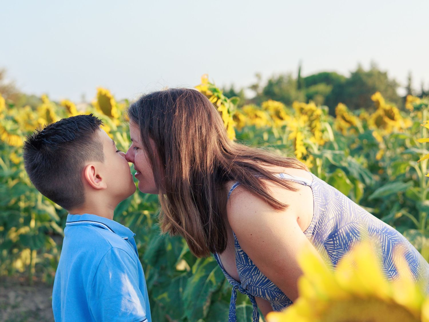 Une maman fait des bisous a son enfant dans une seance photo en un champ de tournesols