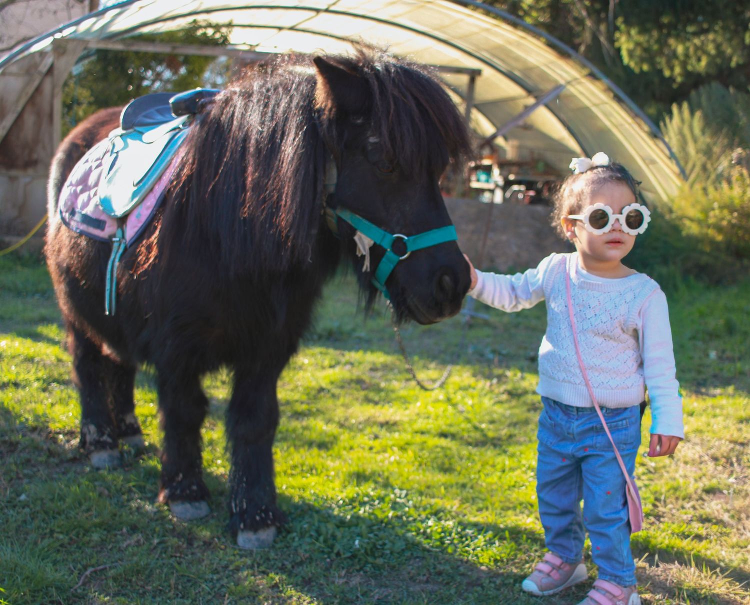 photo d'une fille avec des lunettes avec un poney