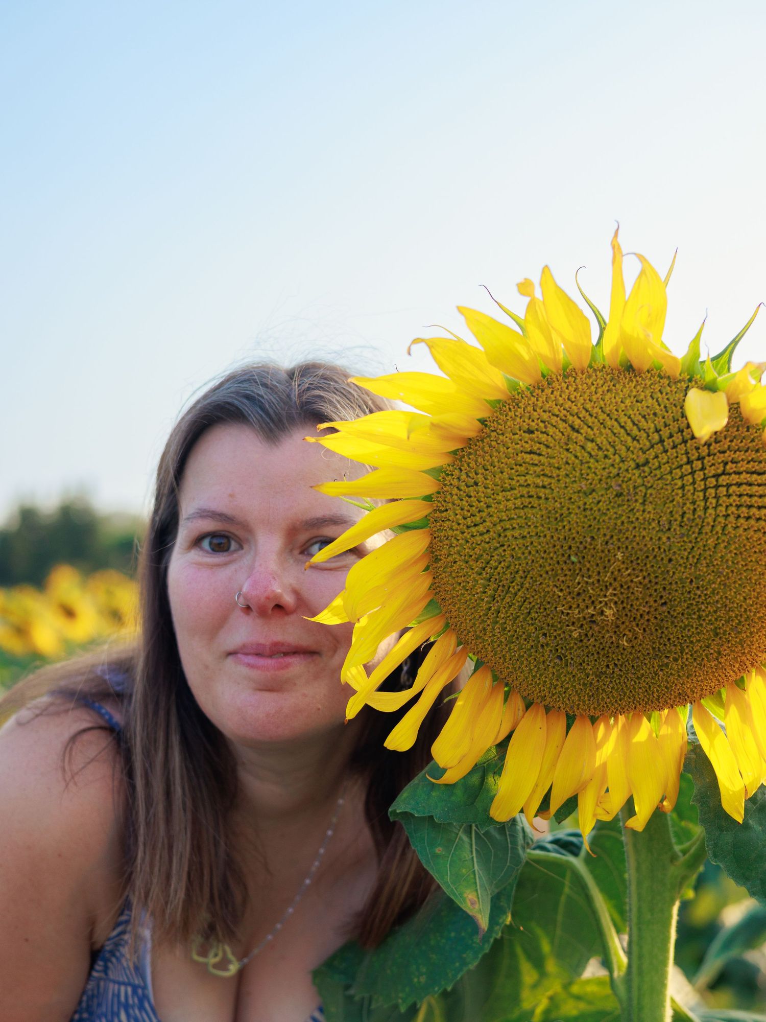 Une femme dans un champ de tournesols en Provence
