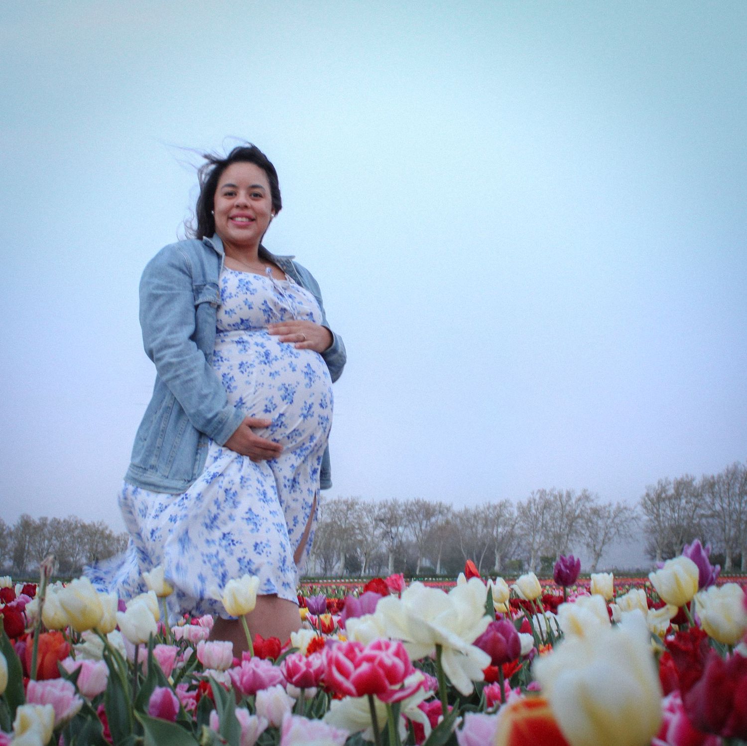 Photo d'une femme enceinte dans un champ de tulipes dans le Vaucluse