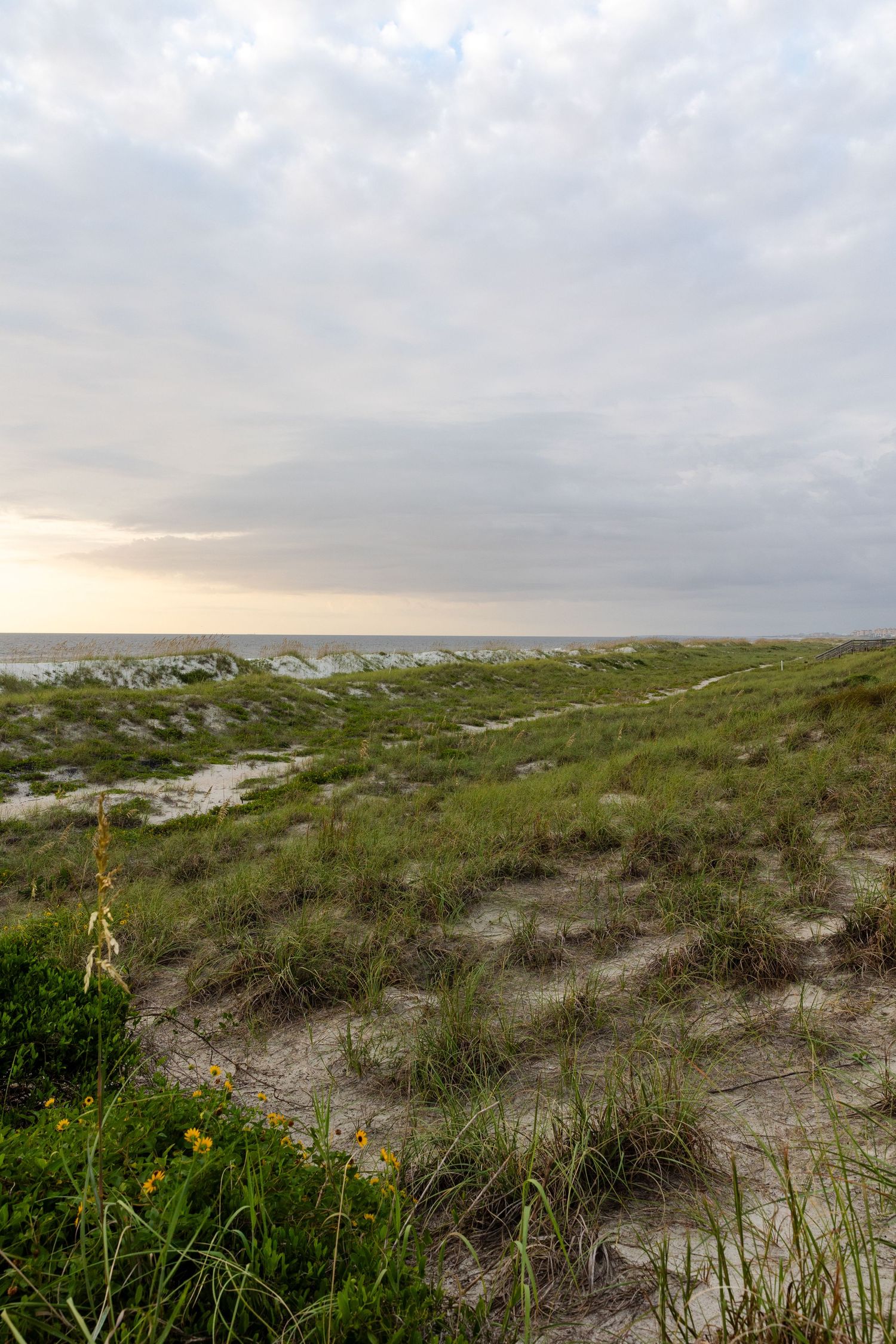 Coastal sand dunes covered in sparse vegetation stretch towards the ocean under a cloudy sunset sky.