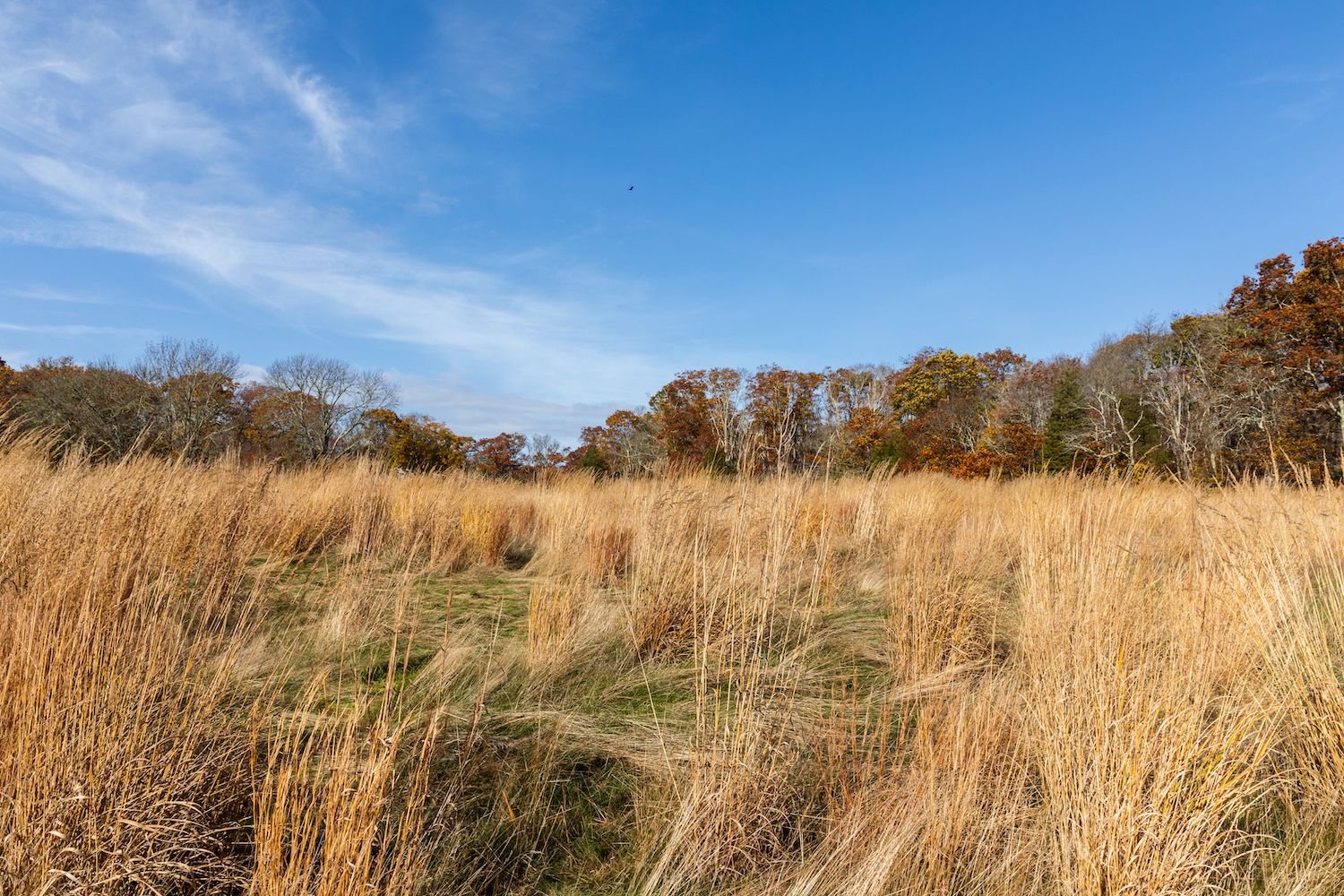 Travel Photographer near Boston, Massachusetts, Cape Cod Landscapes photographed by Jessica Vultaggio, commercial photographer.