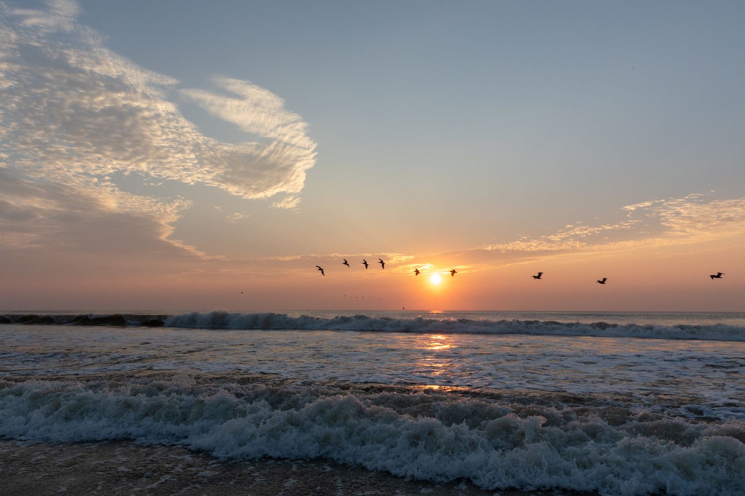 Silhouetted birds fly over rolling ocean waves at sunset with dramatic cloud formations in the sky.