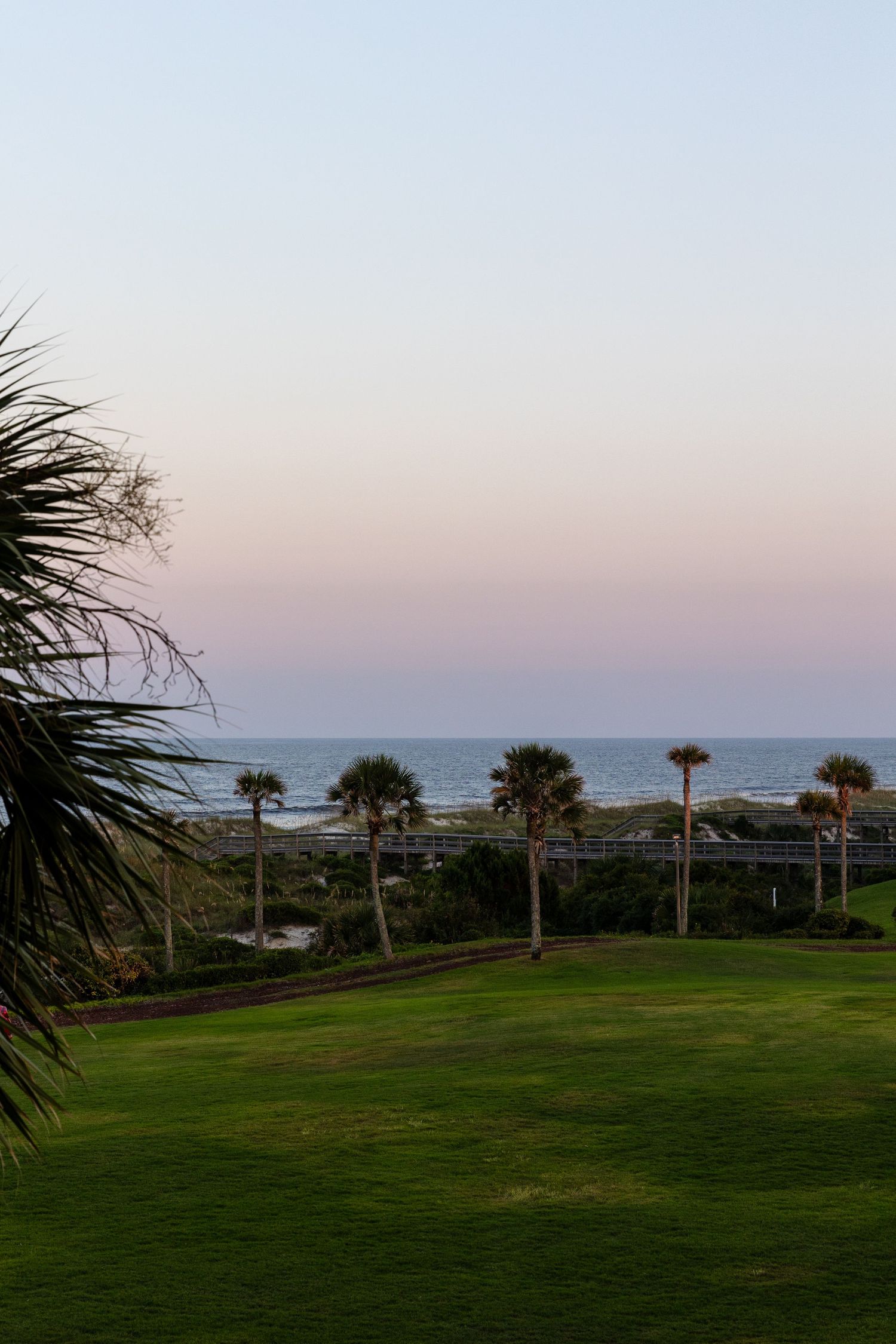 Palm trees line the horizon at dusk along a green coastal landscape with ocean views in the background.